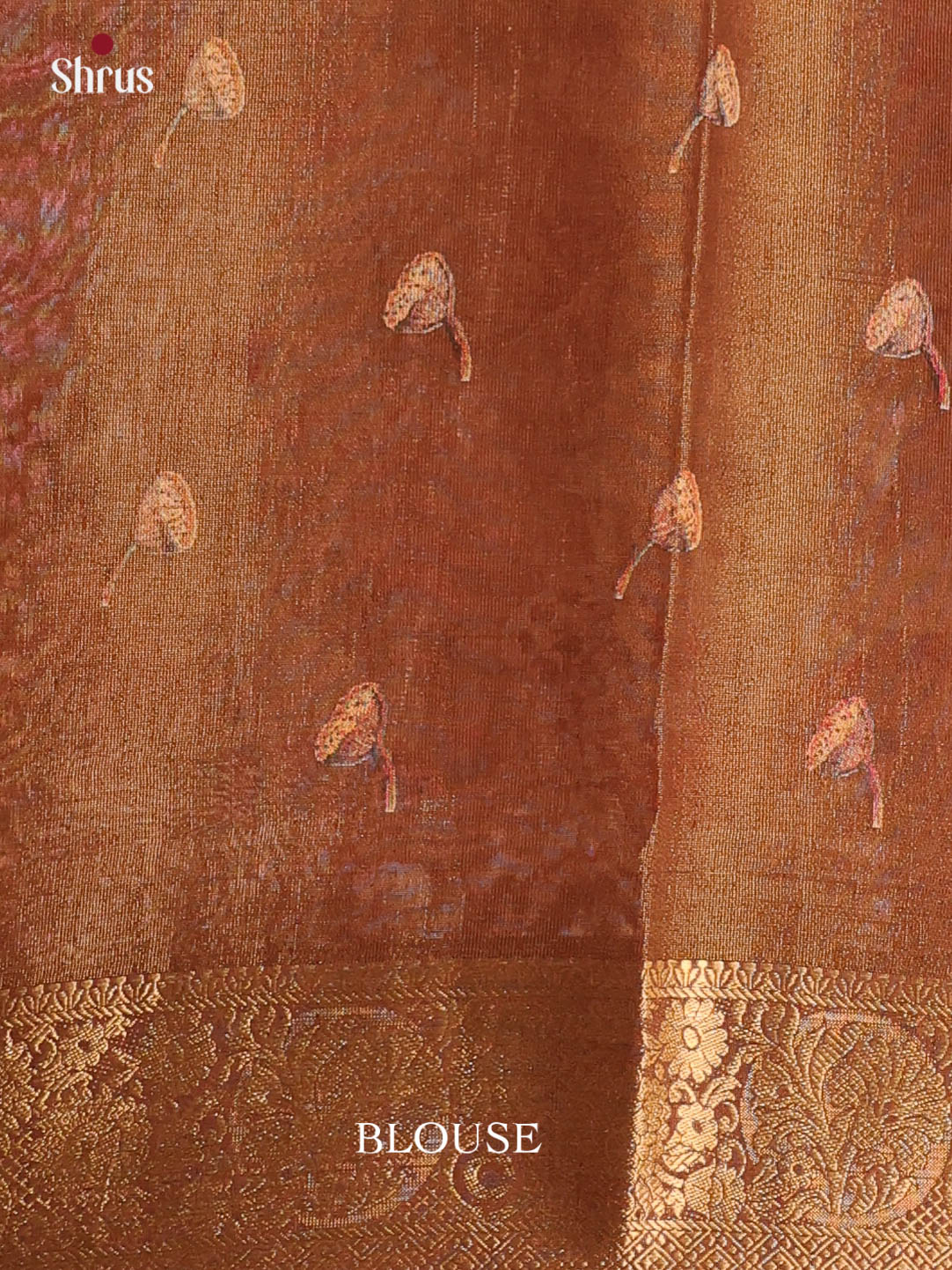 CIS13558 - Semi Tissue Dola Saree - Shop on Shrus.com