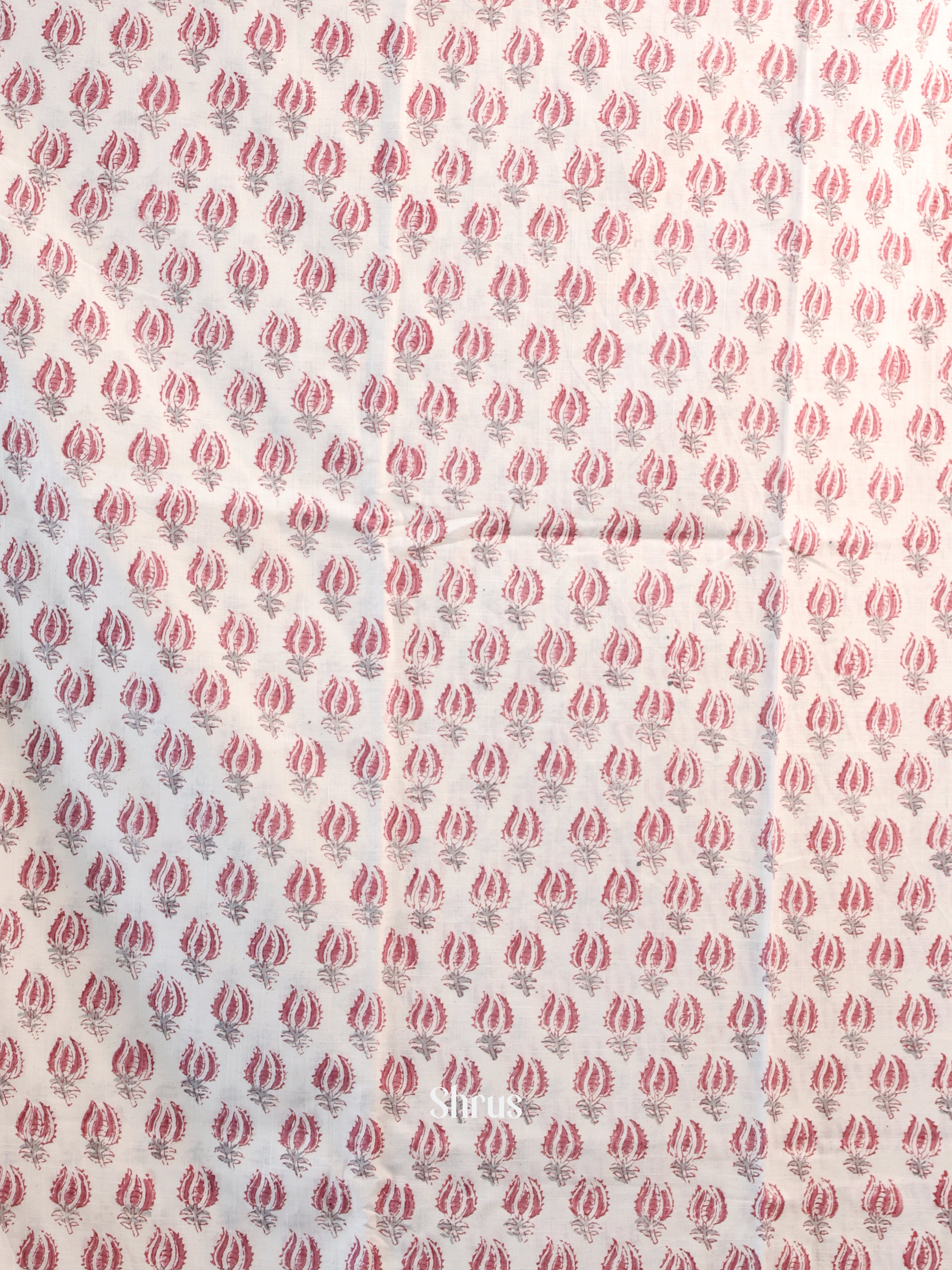 Cream & Pink - Cotton salwar - Shop on Shrus.com