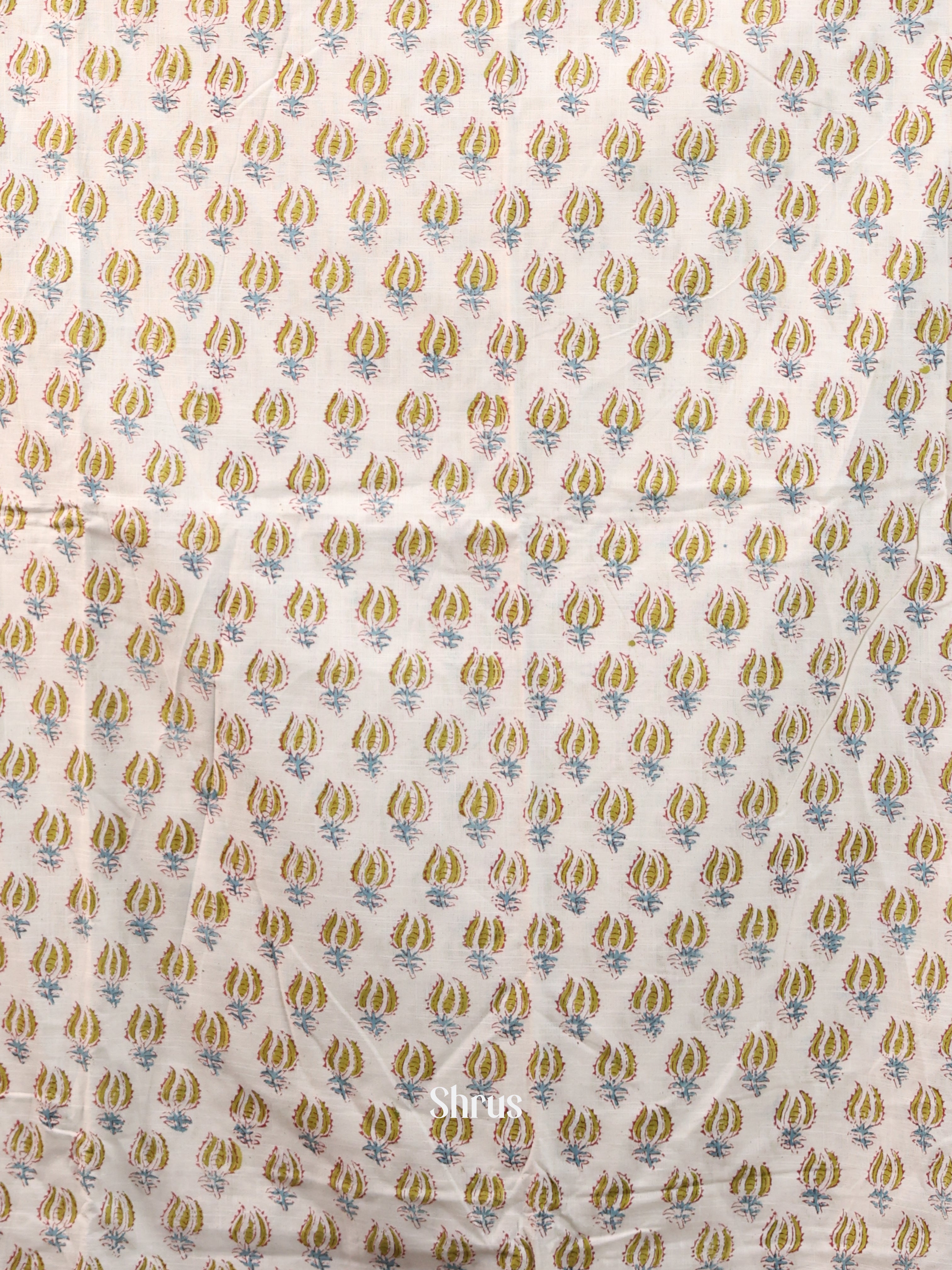 Cream & Green - Cotton salwar - Shop on Shrus.com