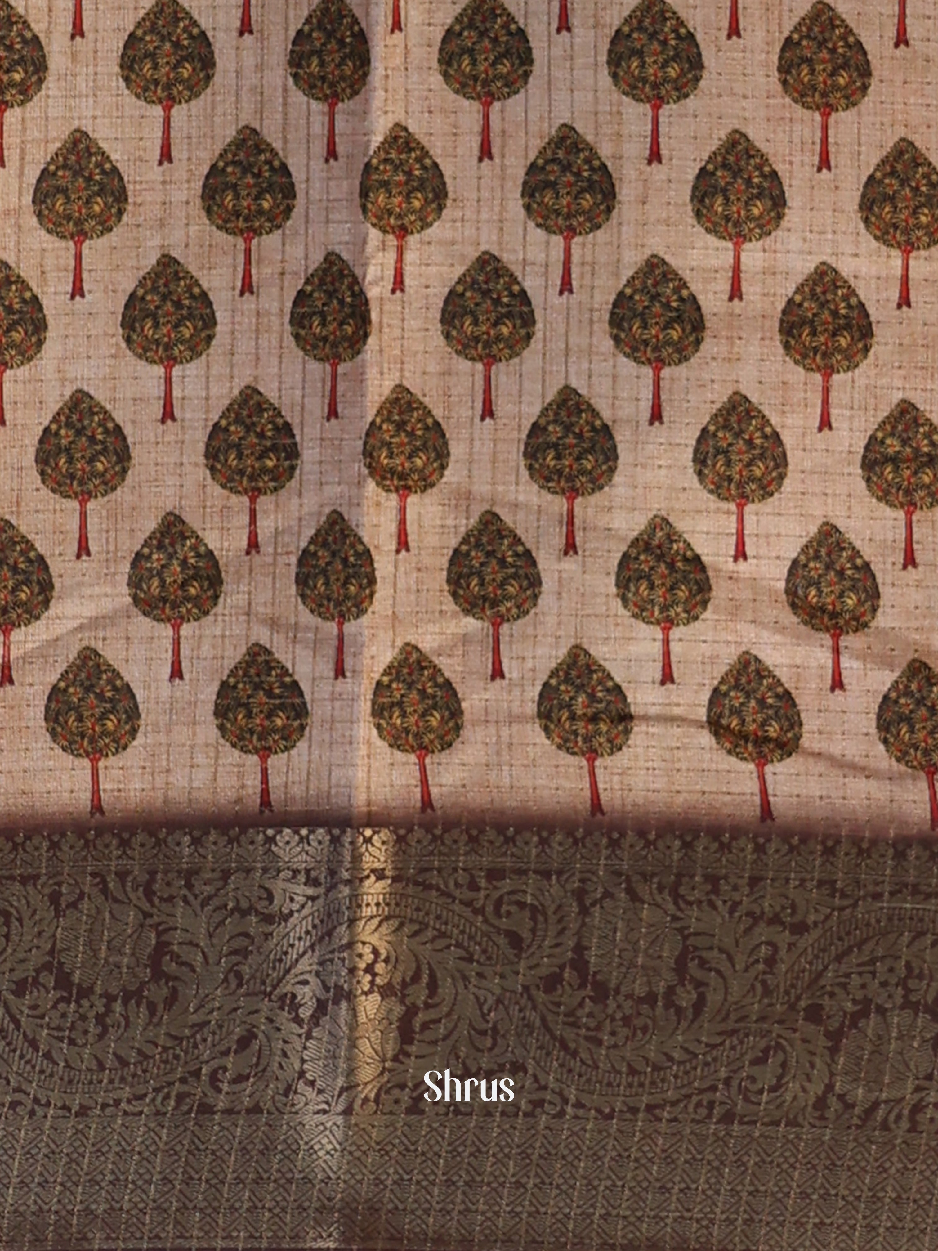Lite Brown & Brown- Printed Semi Tussar Saree - Shop on Shrus.com