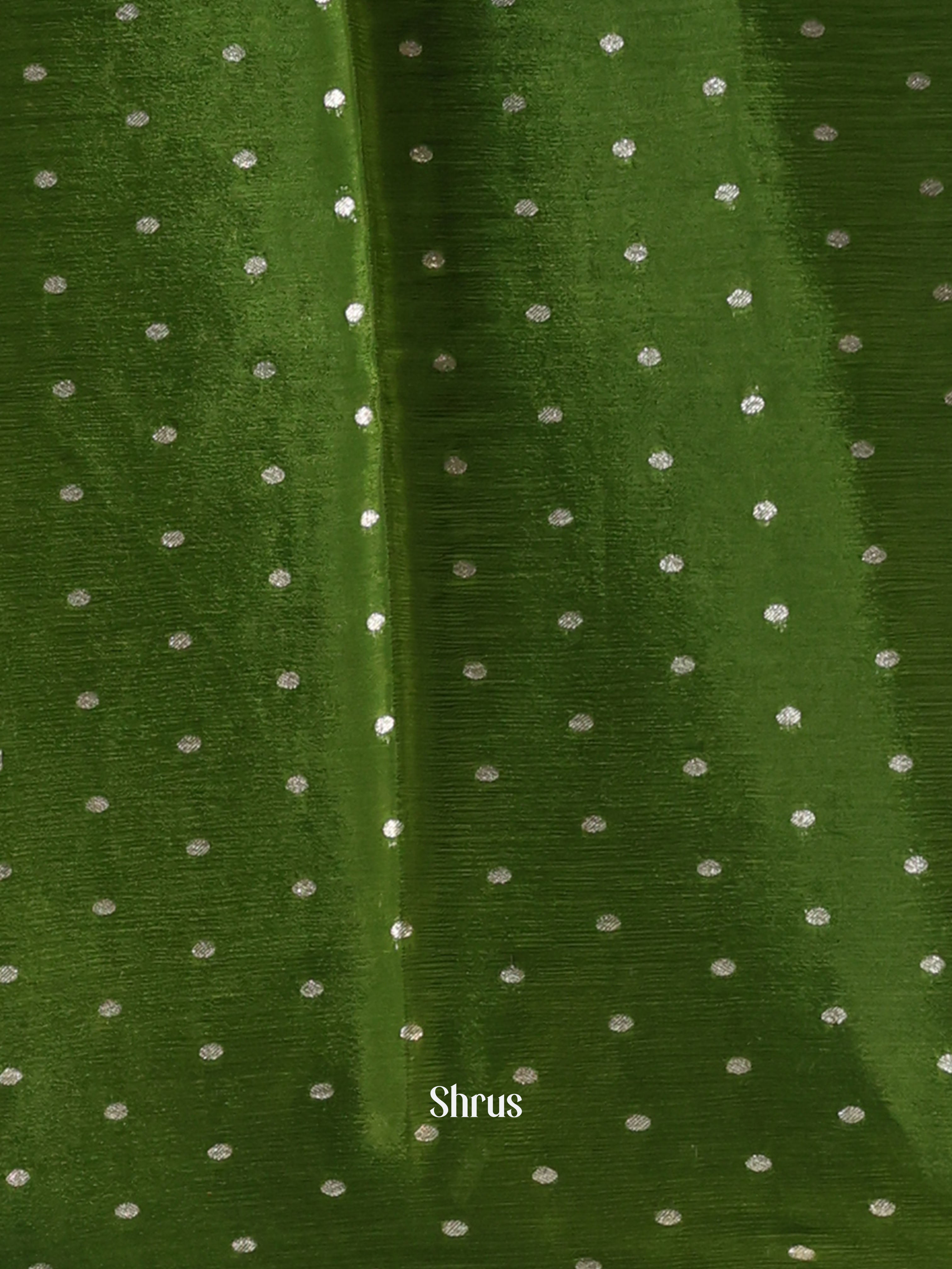 Blue & Green- Semi Organza Saree - Shop on Shrus.com