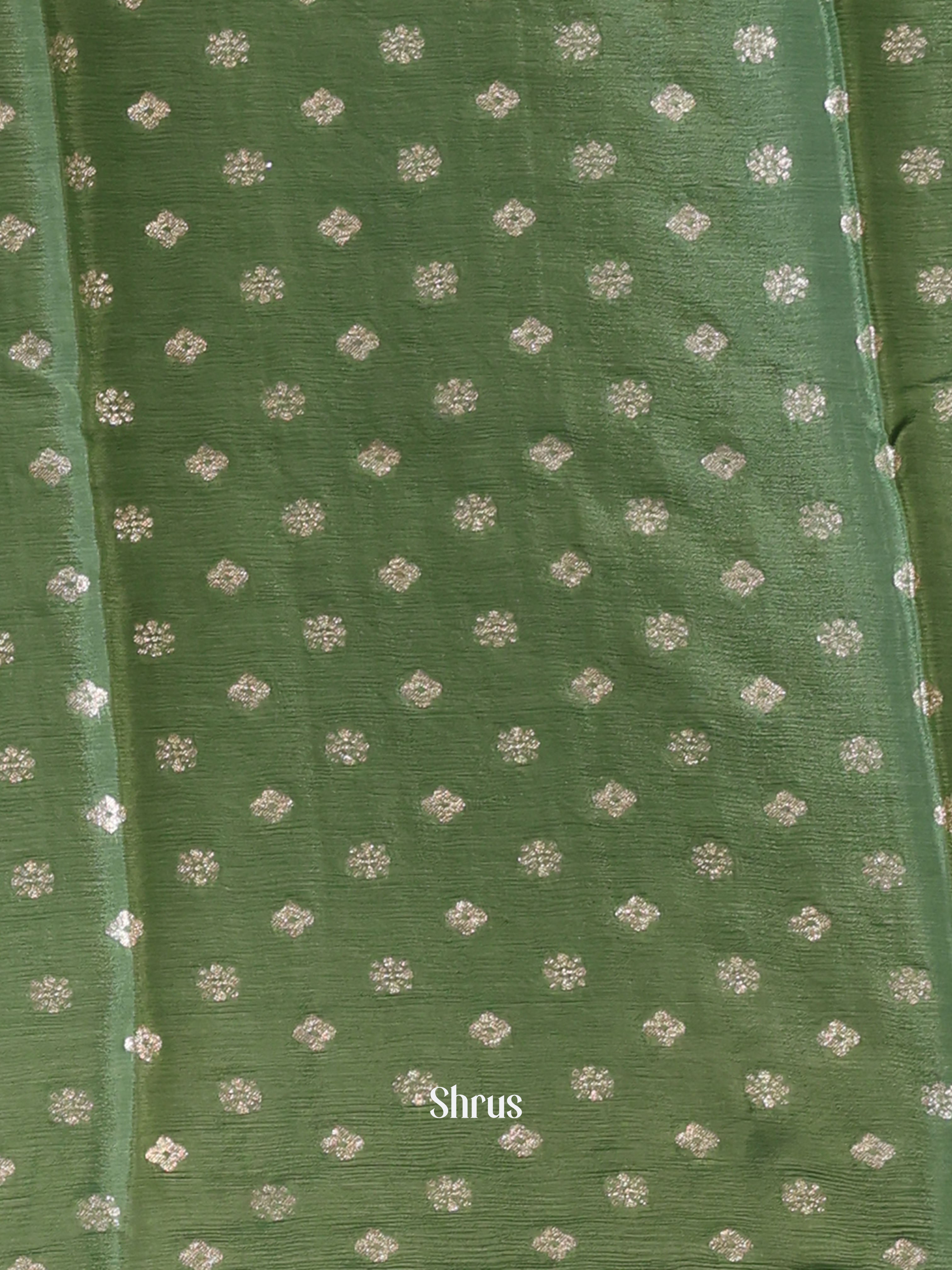 Pastel Green - Semi Organza Saree - Shop on Shrus.com