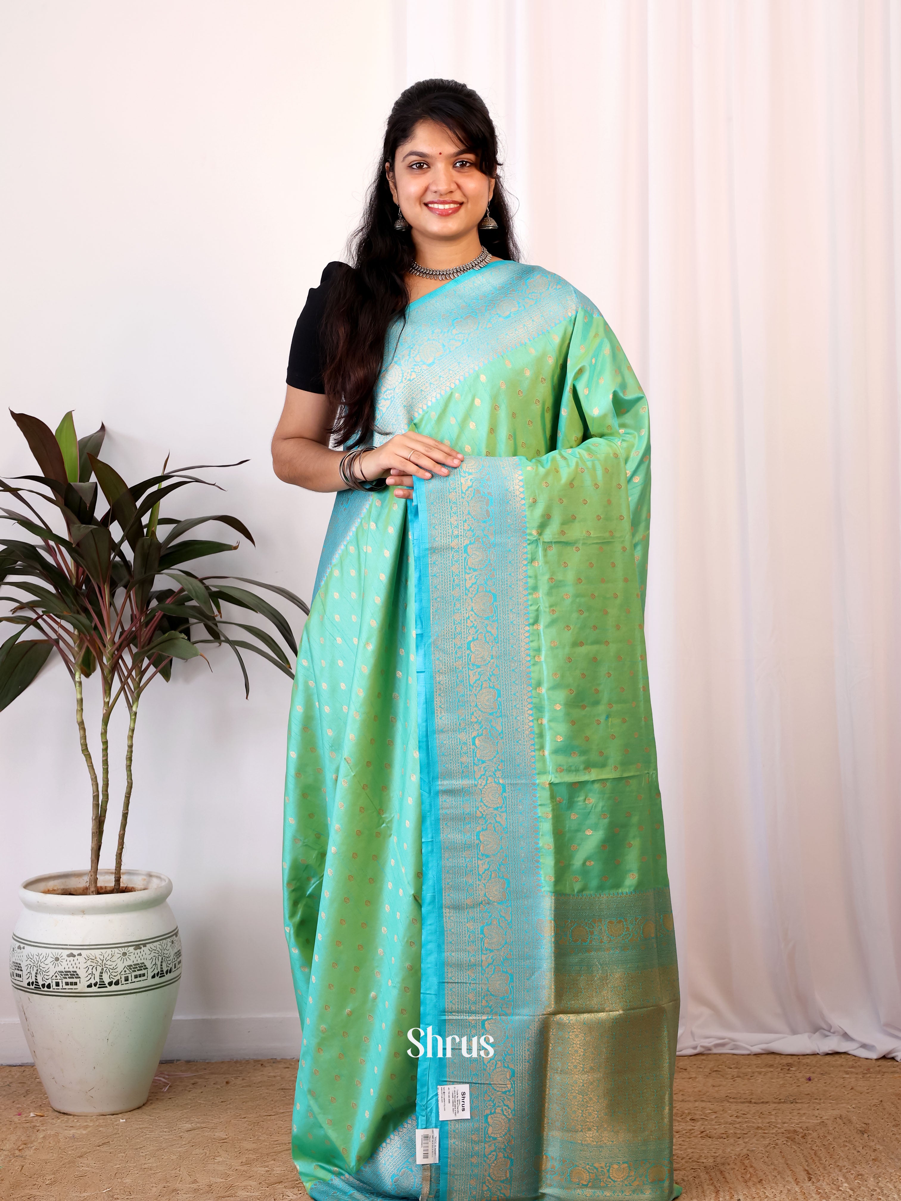 Pastel Green & Blue - Semi Banarasi Saree - Shop on Shrus.com