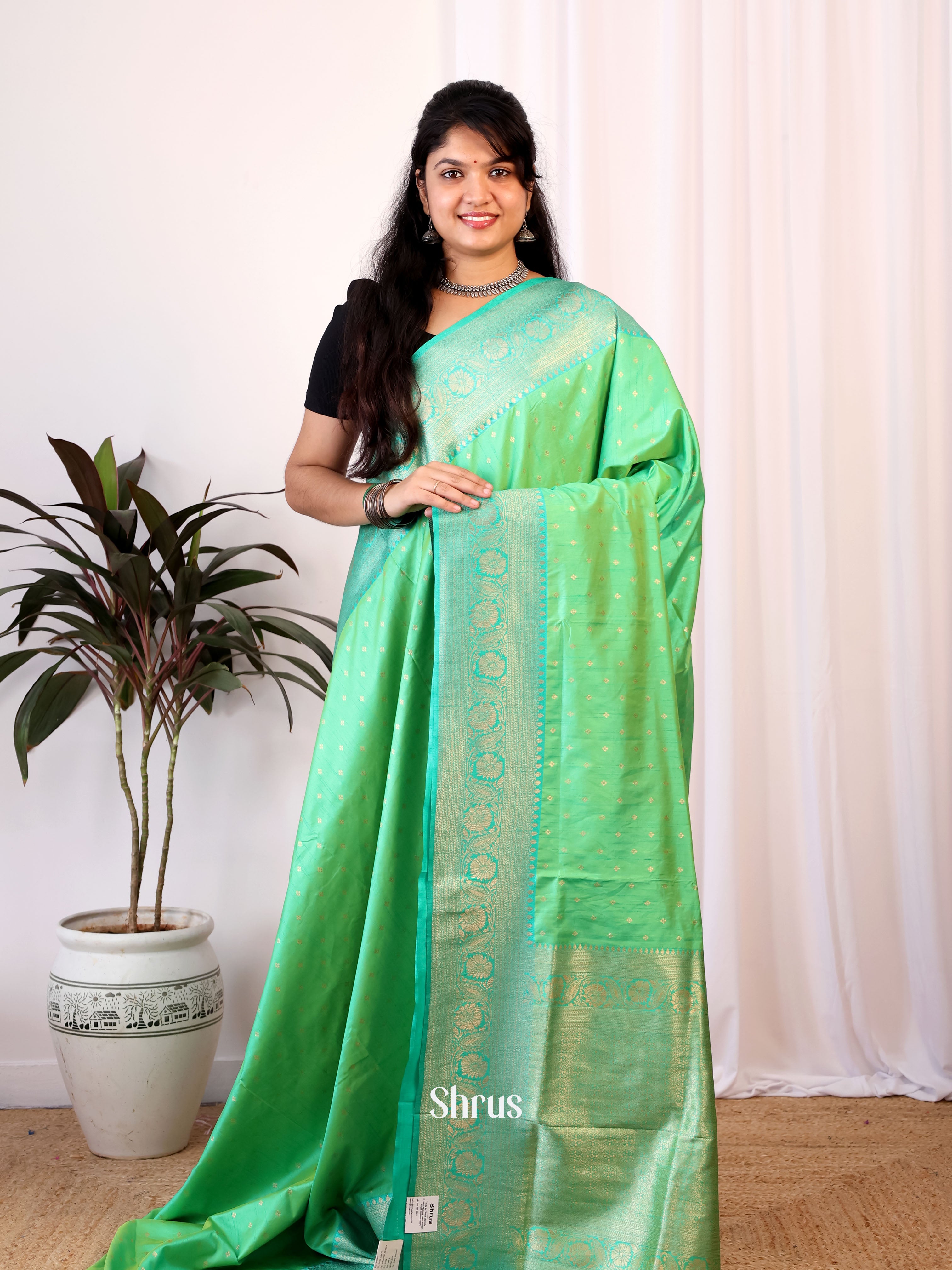 Pastel Green & Blue - Semi Banarasi Saree - Shop on Shrus.com
