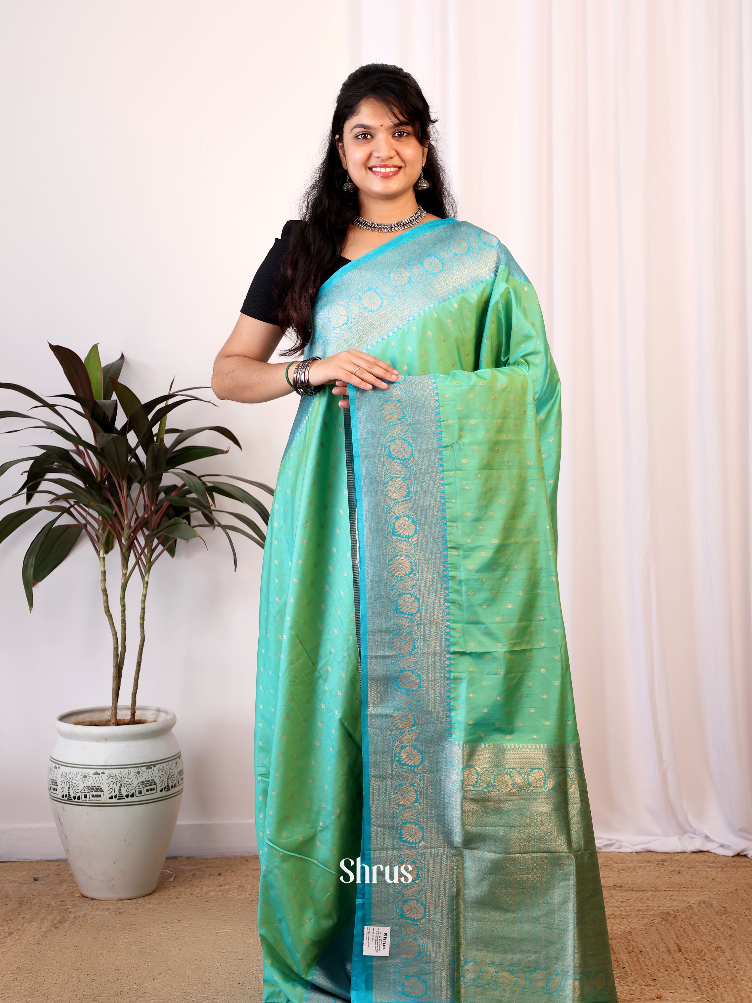 Pista Green & Blue - Semi Banarasi Saree - Shop on Shrus.com