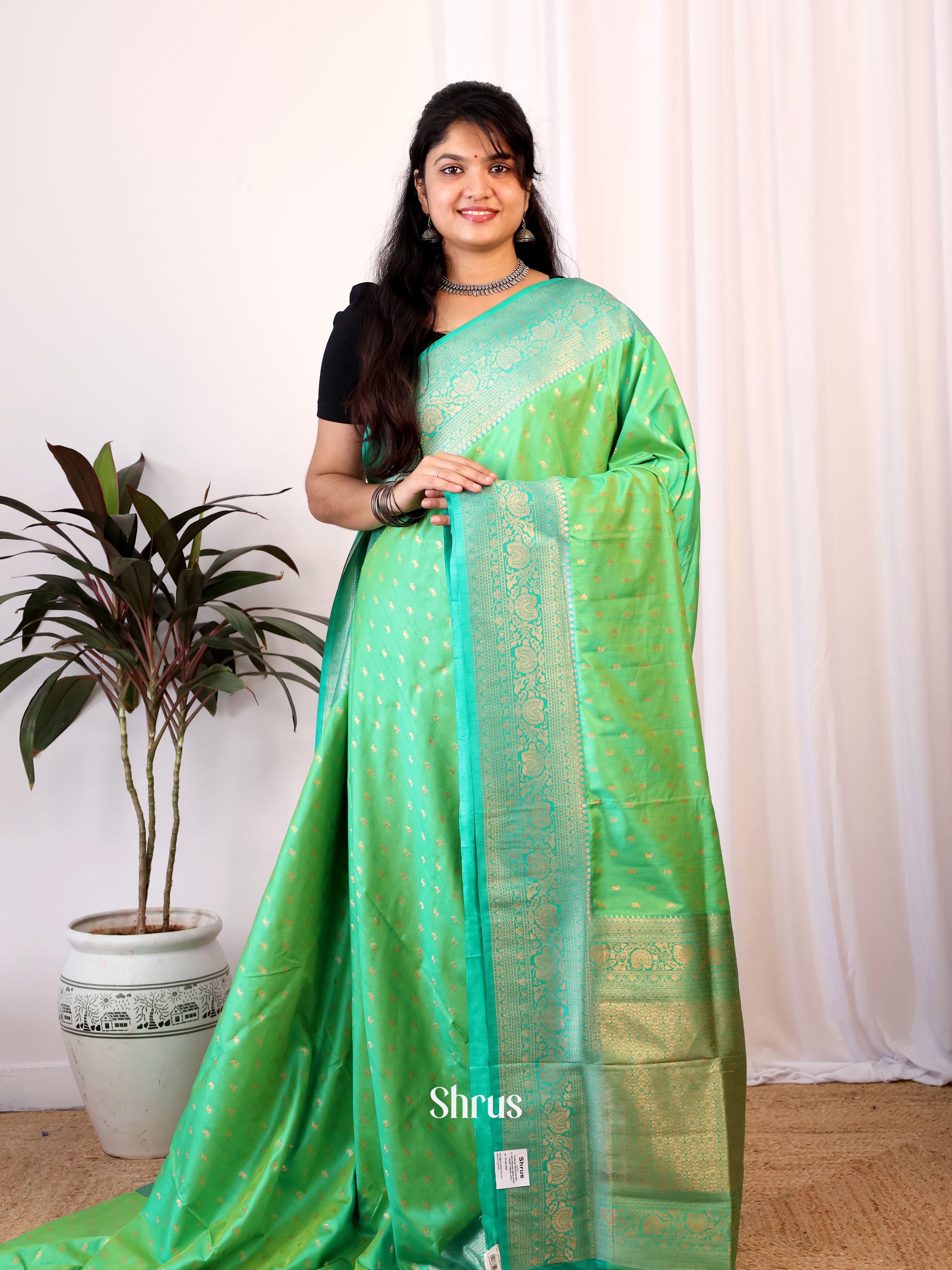 Pastel Green & Blue - Semi Banarasi Saree - Shop on Shrus.com