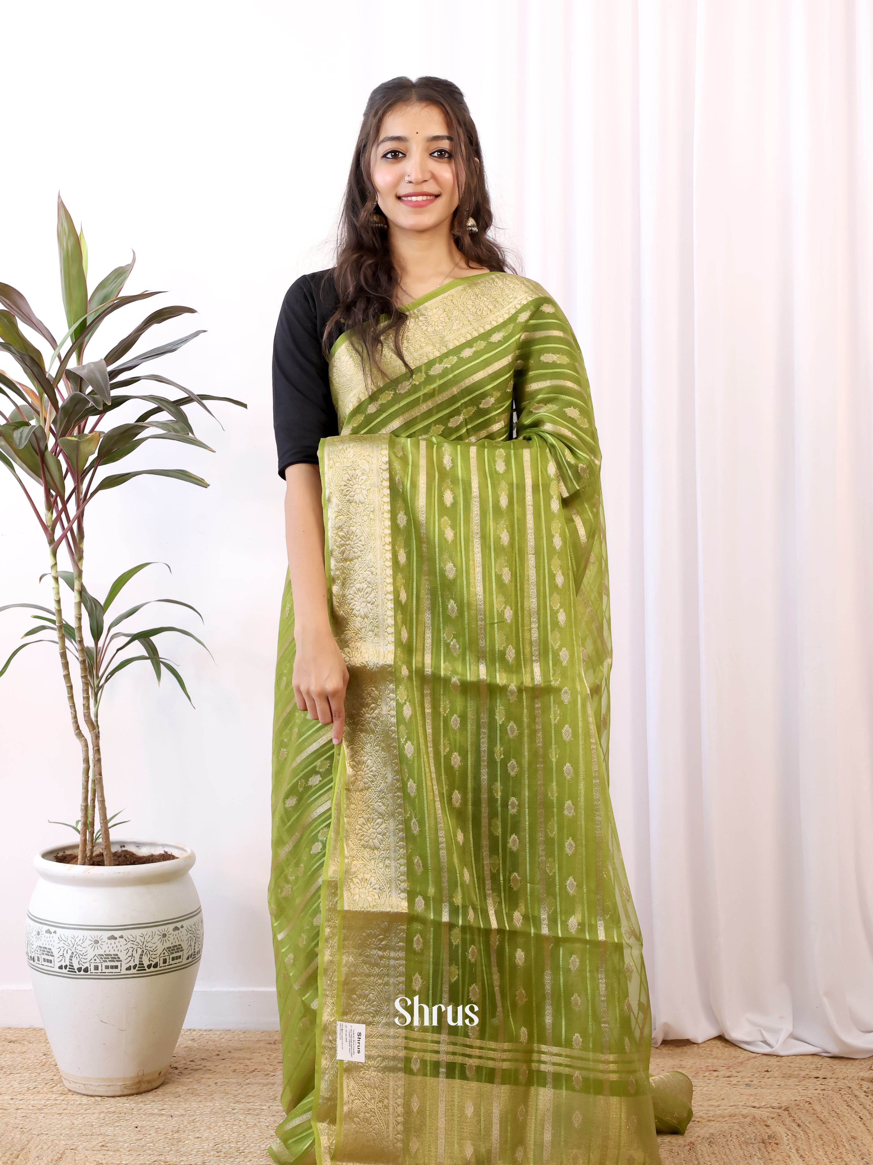 Leaf Green - Semi Organza Saree - Shop on Shrus.com