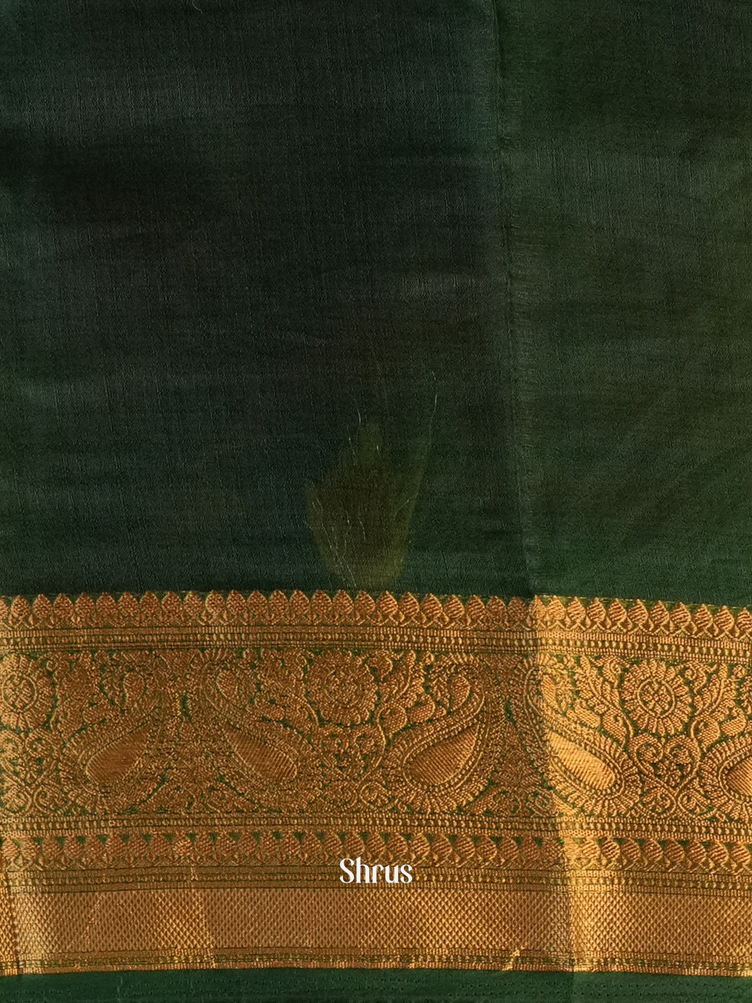 Green - Semi Organza Saree - Shop on Shrus.com