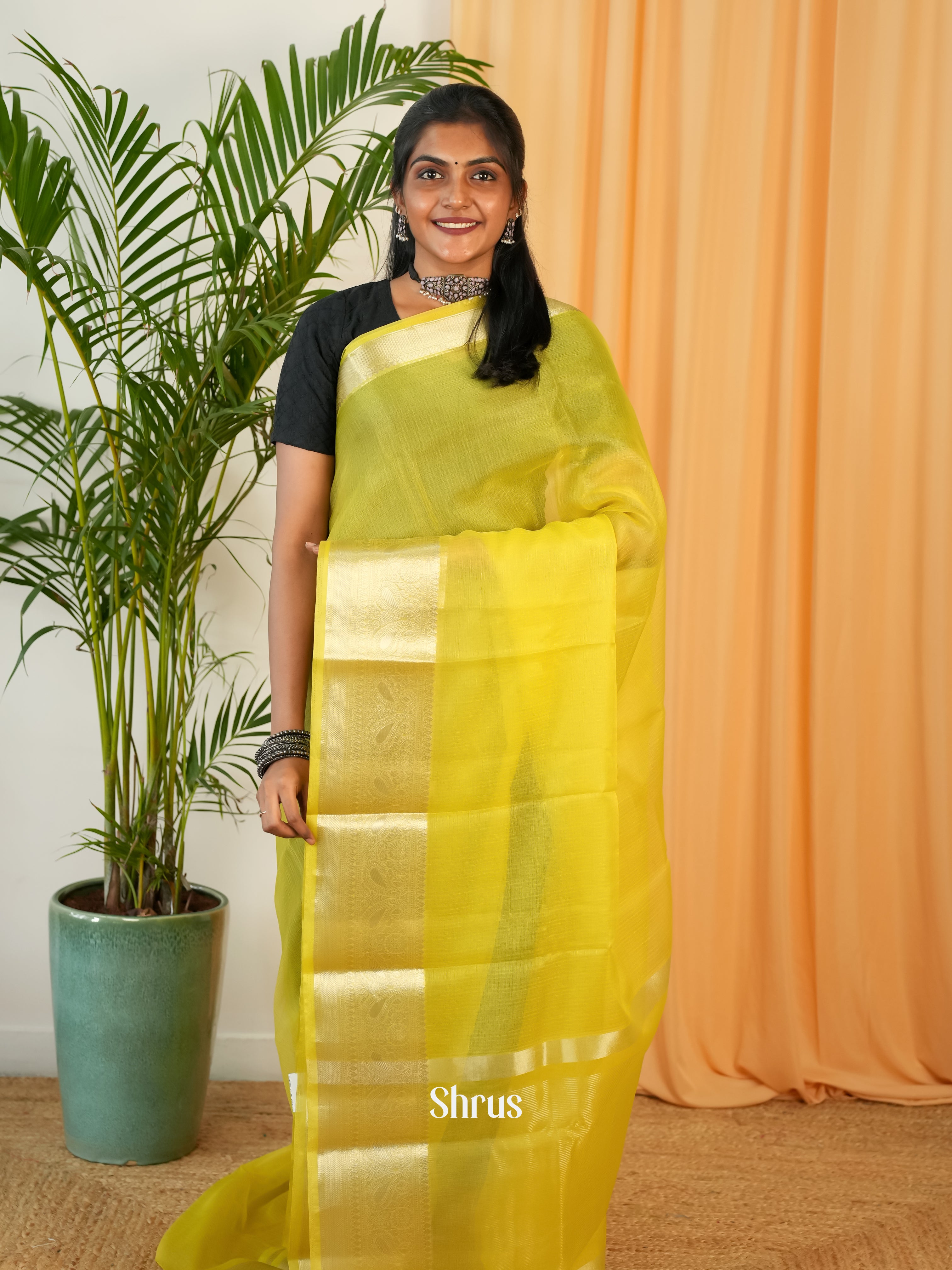 Mustardy Green - Semi Organza Saree - Shop on Shrus.com