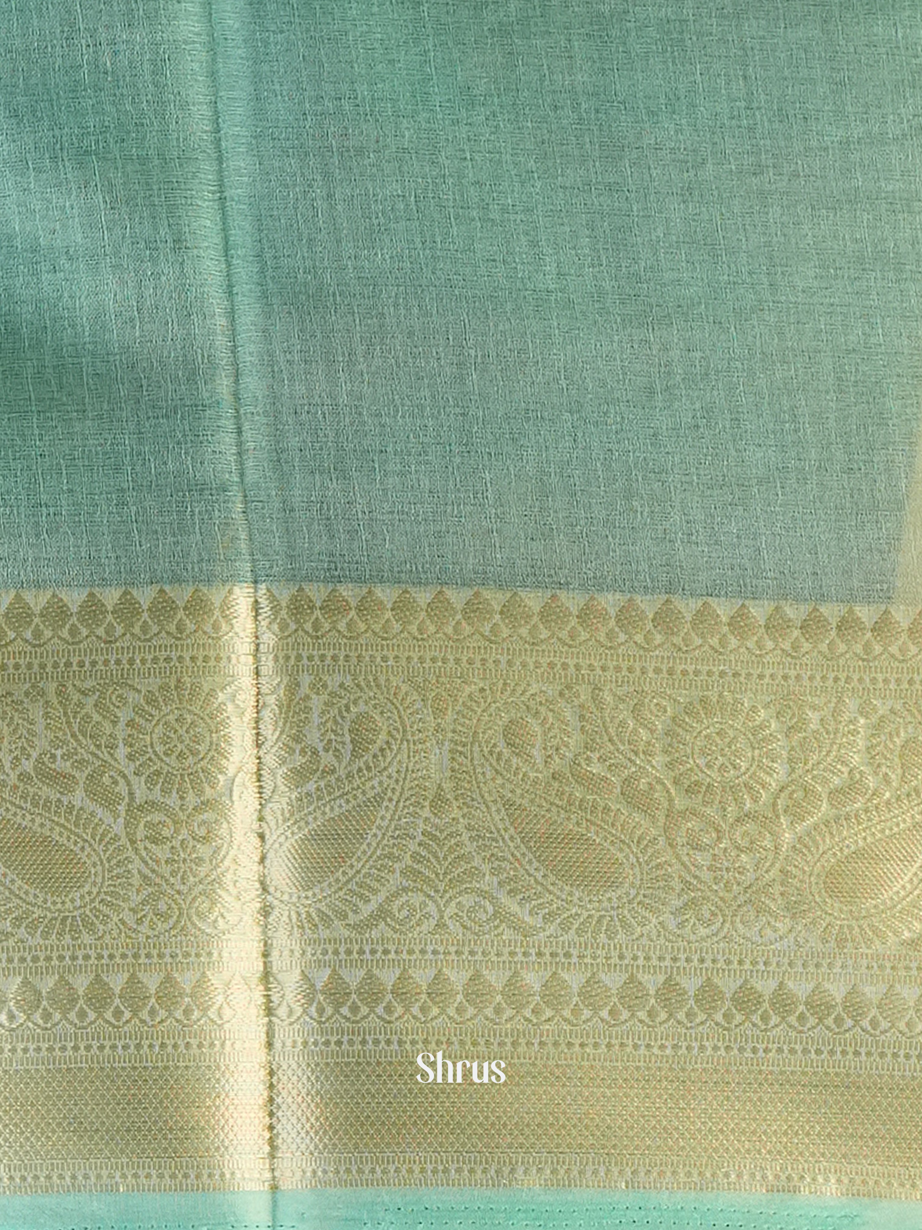Aqua Green - Semi Organza Saree - Shop on Shrus.com