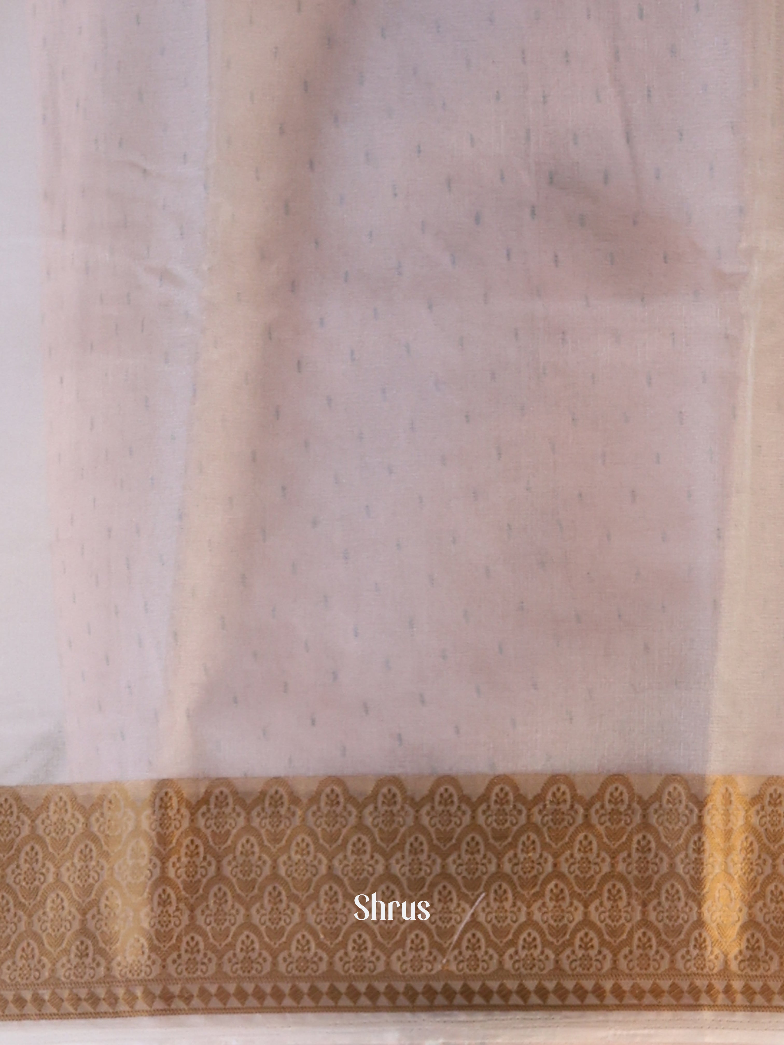 Cream - Semi Organza Saree - Shop on Shrus.com