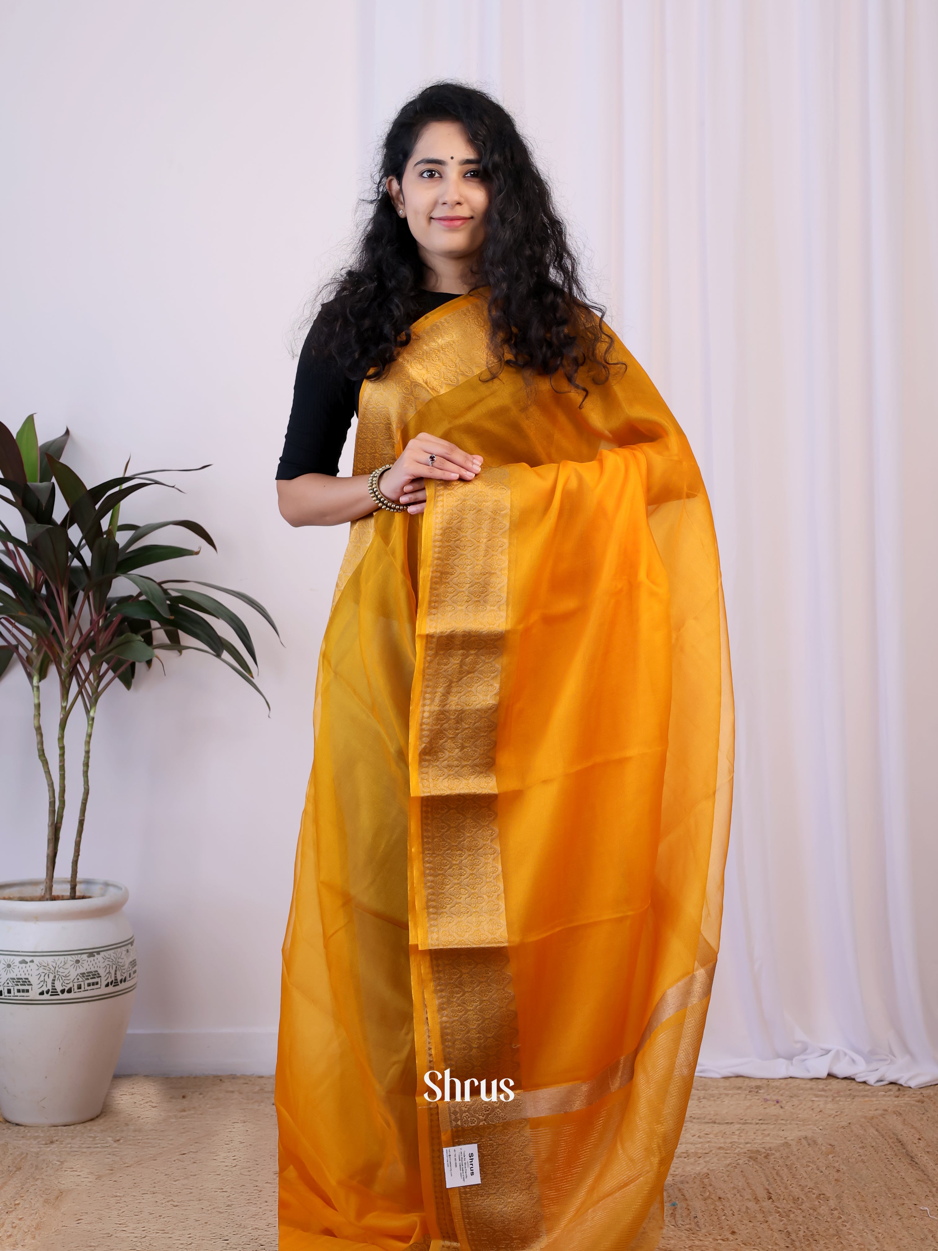 CIS15952 - Semi Organza Saree - Shop on Shrus.com