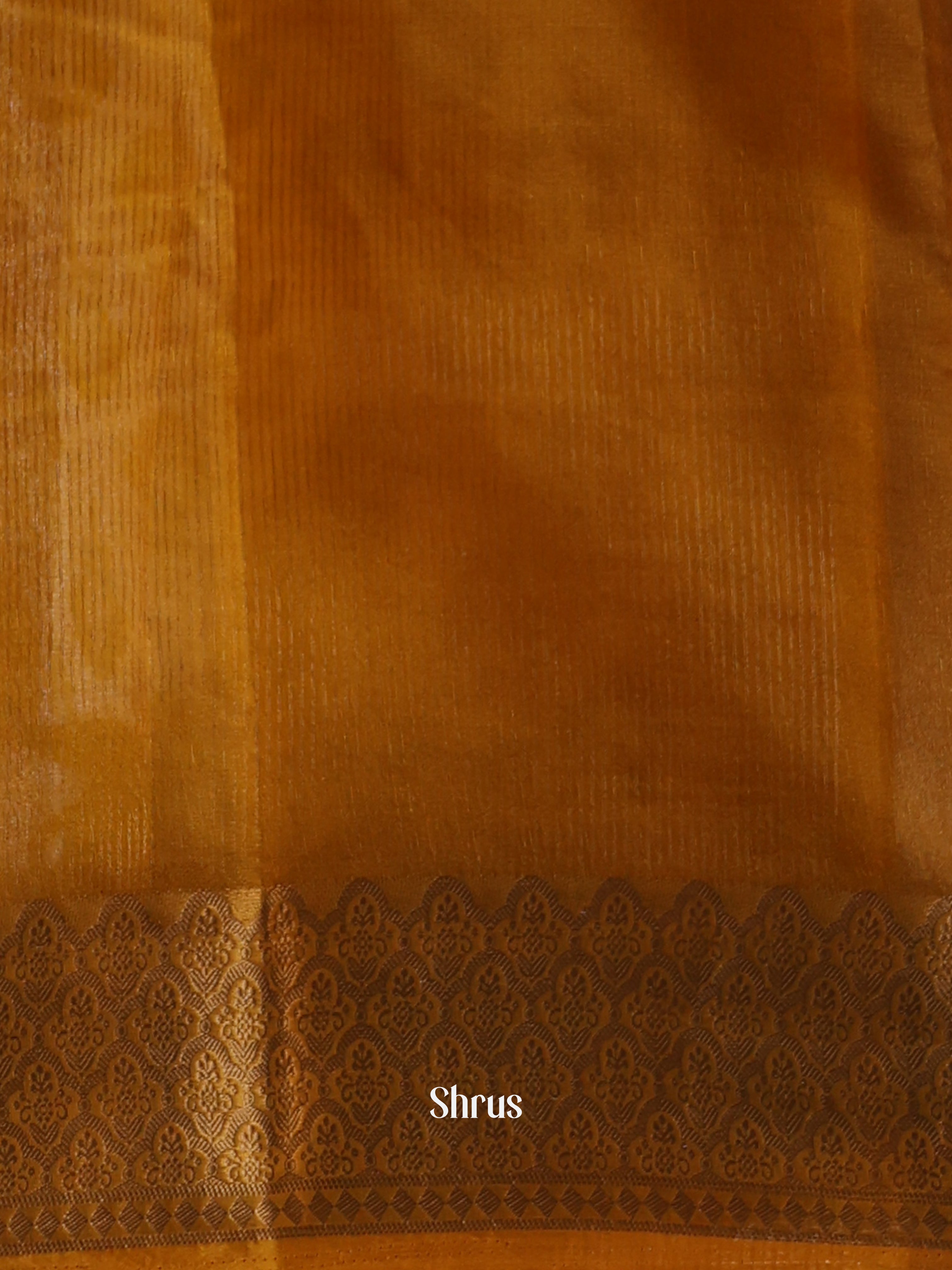 CIS15952 - Semi Organza Saree - Shop on Shrus.com