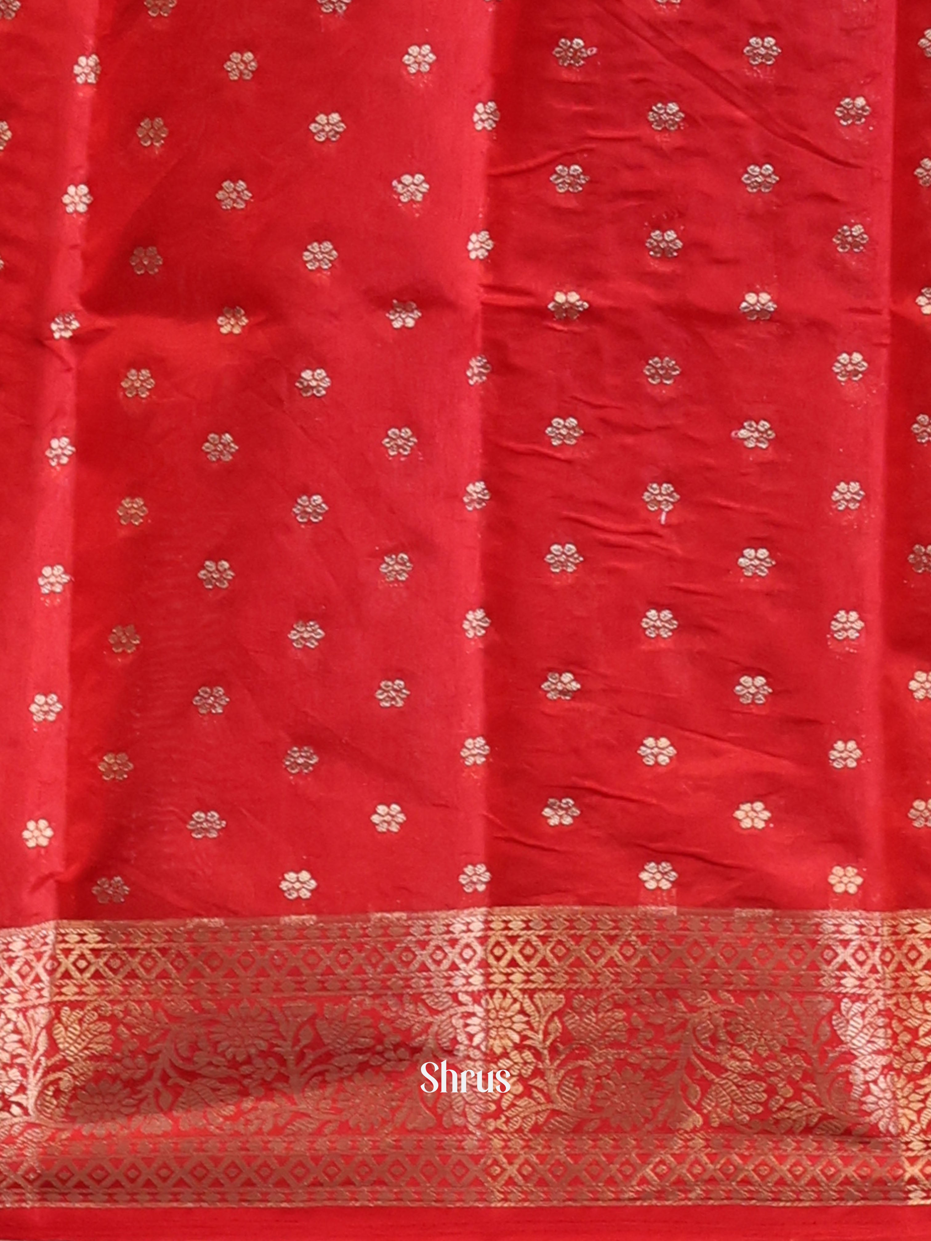Cream & Red - Semi Organza Saree - Shop on Shrus.com