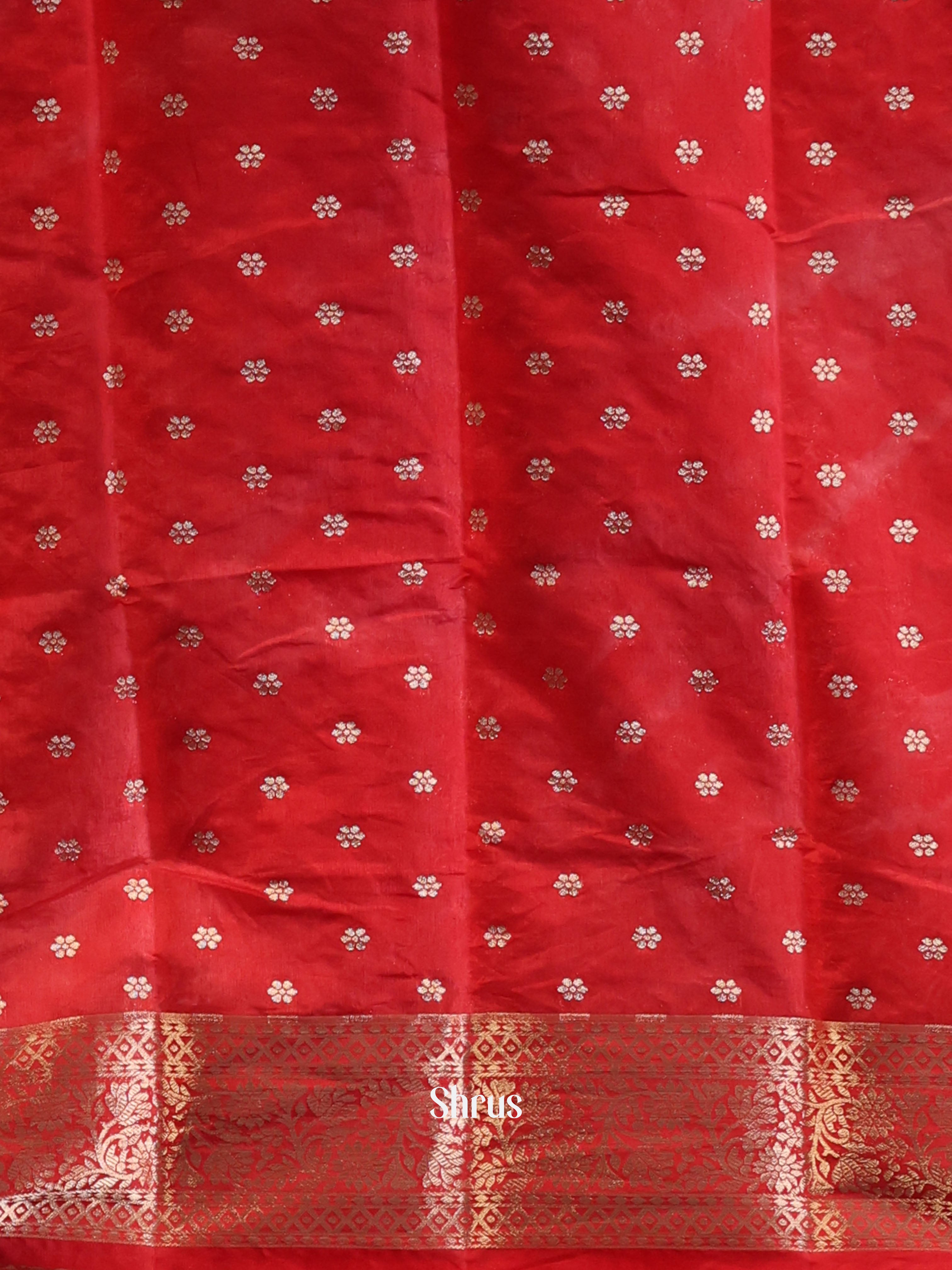 Cream & Red - Semi Organza Saree - Shop on Shrus.com