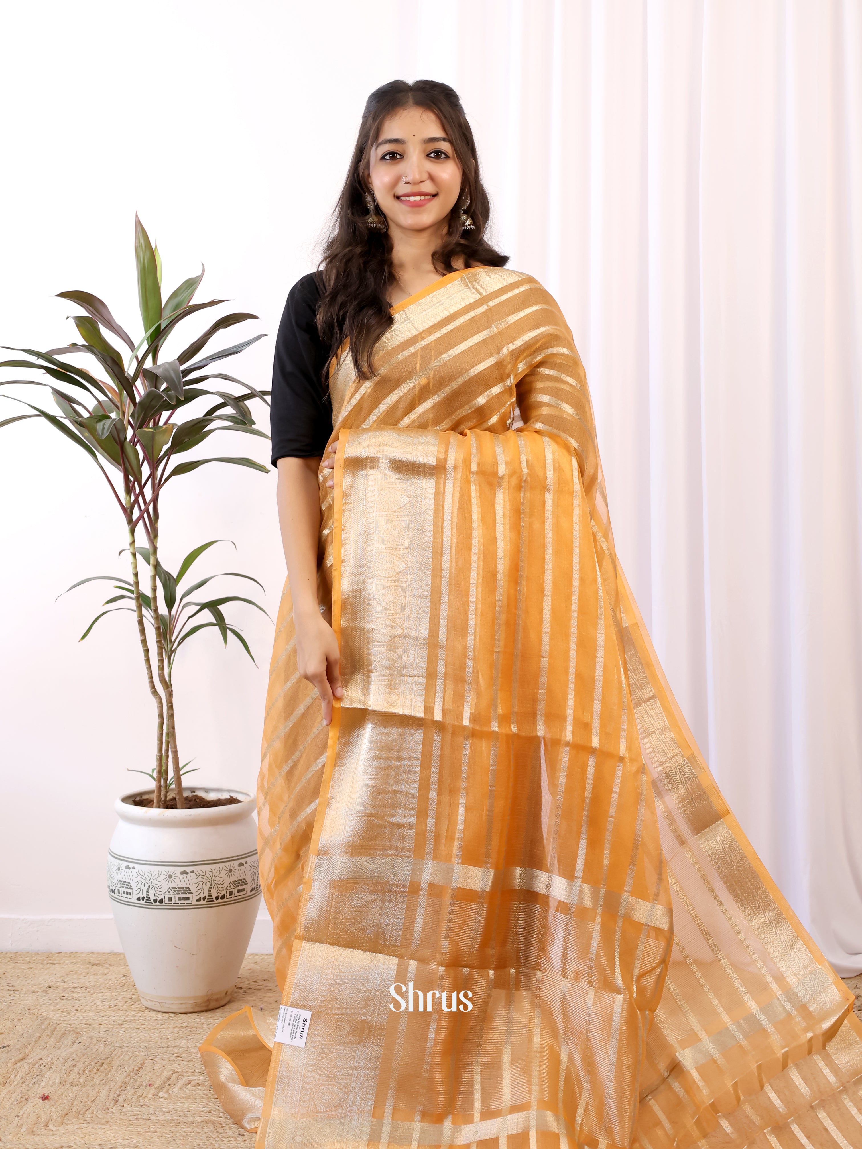 Mustard- Semi Organza Saree - Shop on Shrus.com
