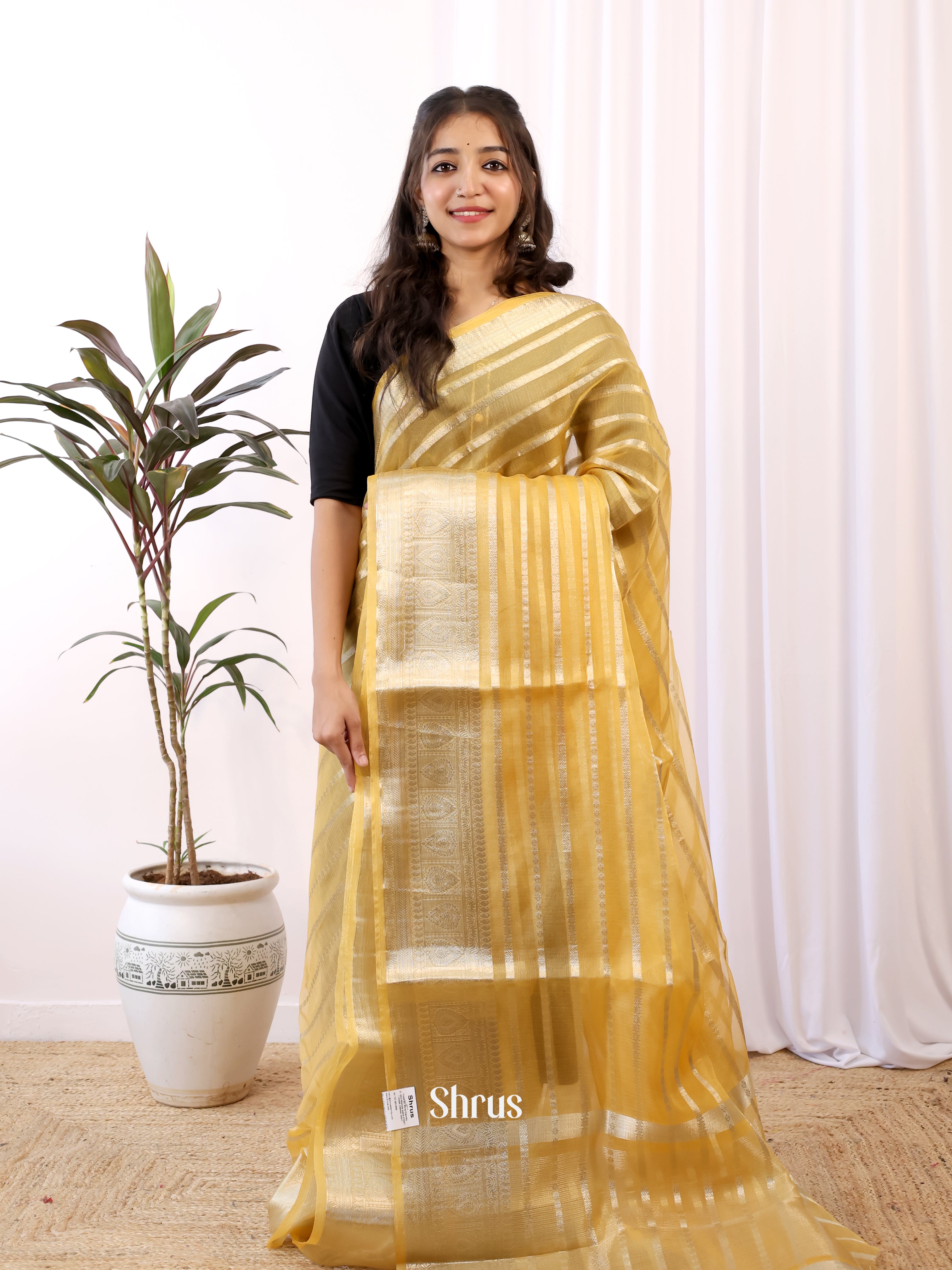 Pale Yellow - Semi Organza Saree - Shop on Shrus.com