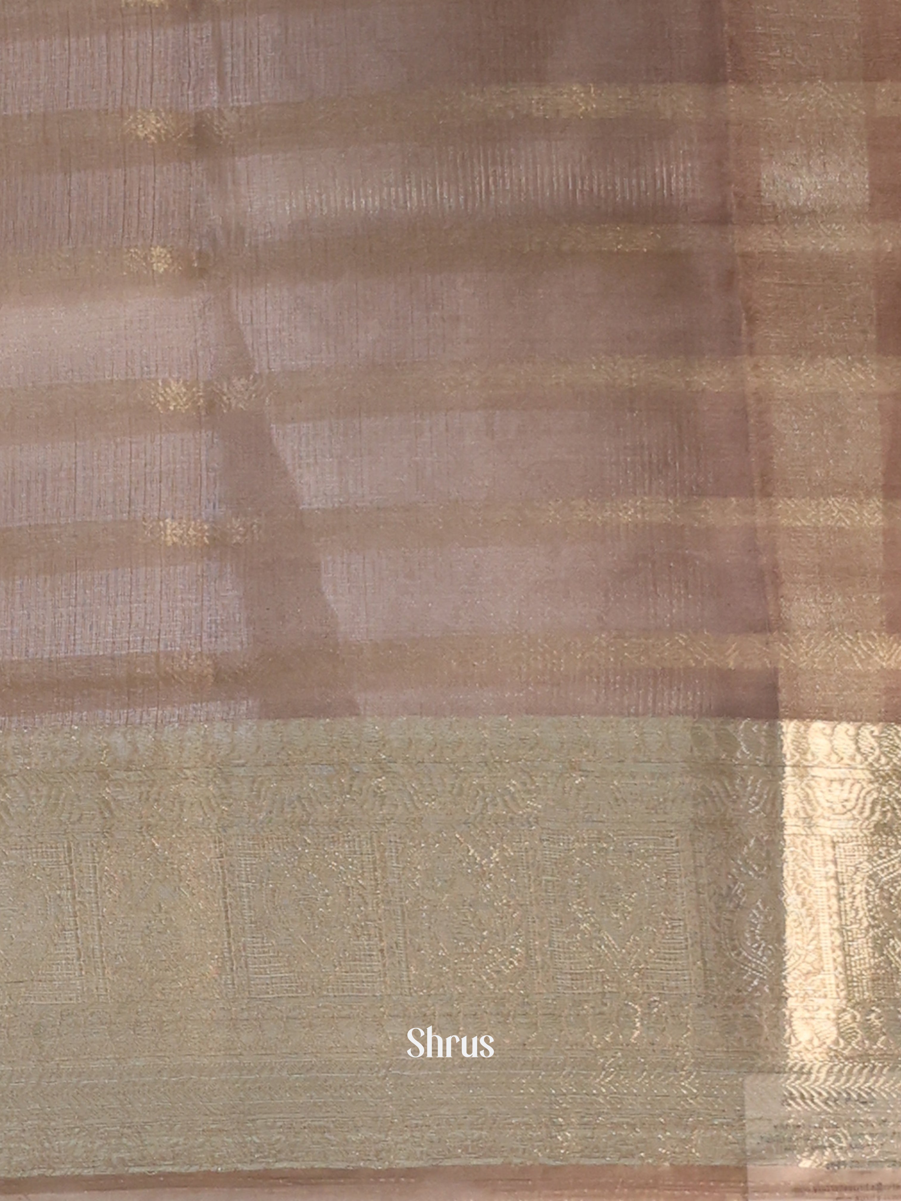 Grey - Semi Organza Saree - Shop on Shrus.com