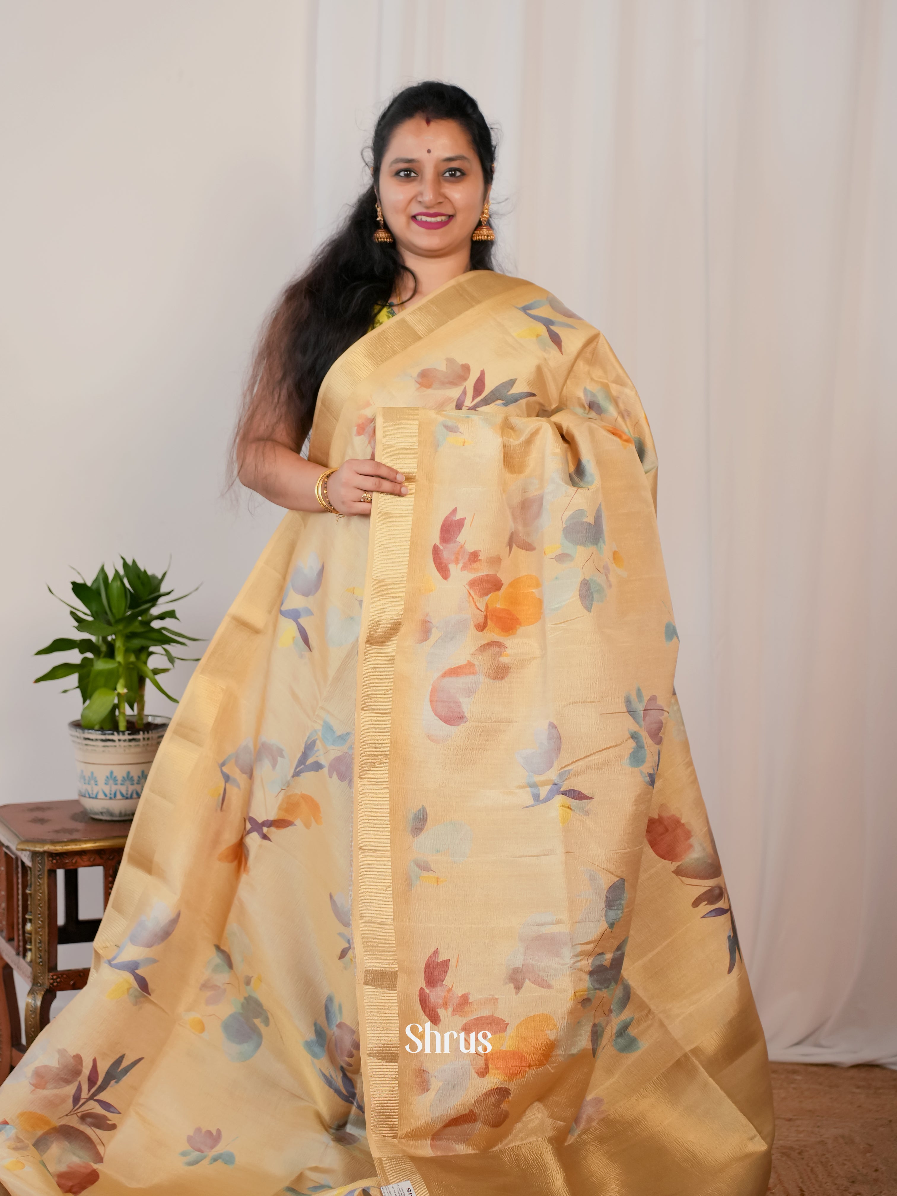 CIS17300- Bamboo silk Saree - Shop on Shrus.com