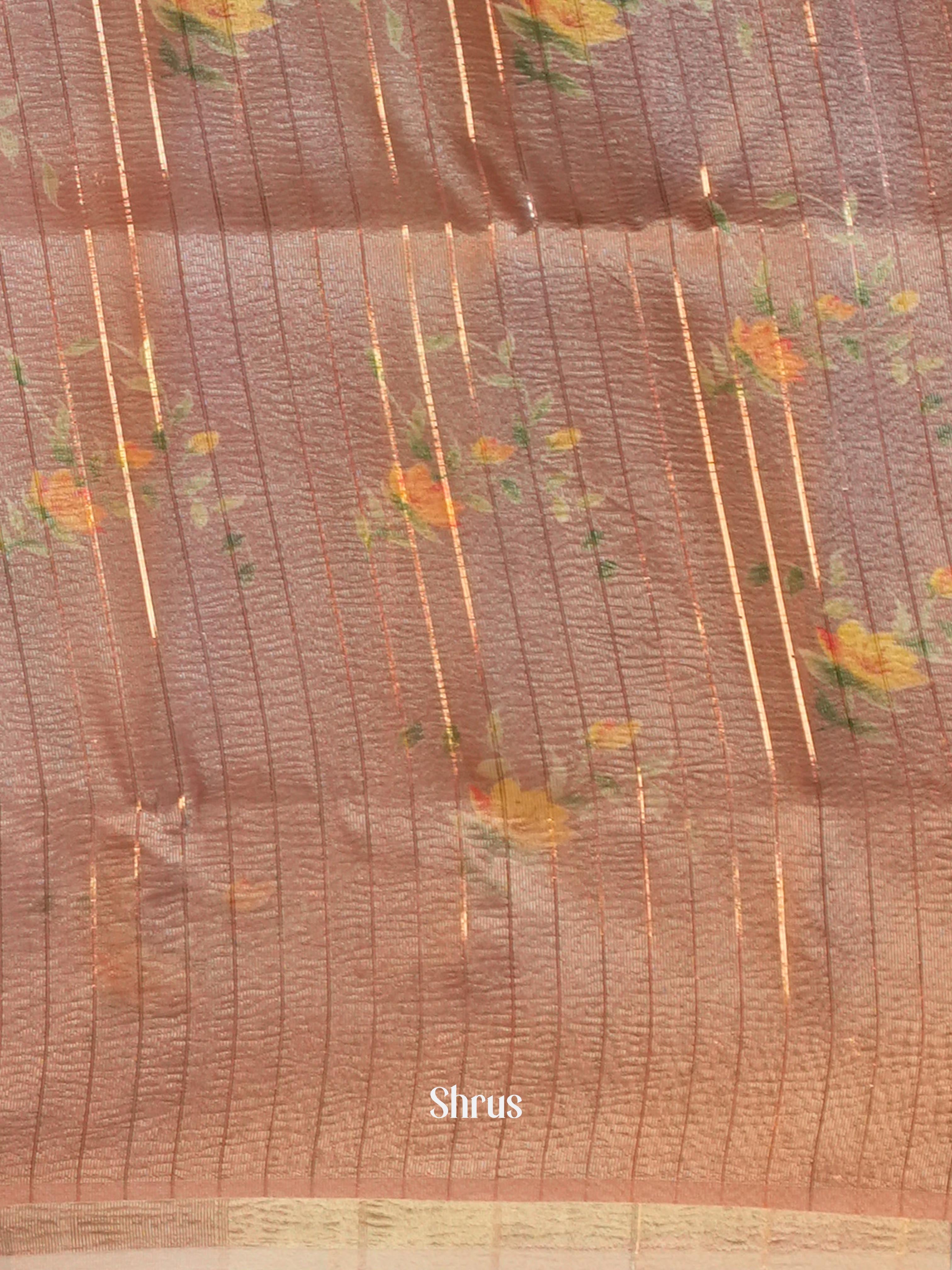 Brown - Bamboo Silk Saree - Shop on Shrus.com