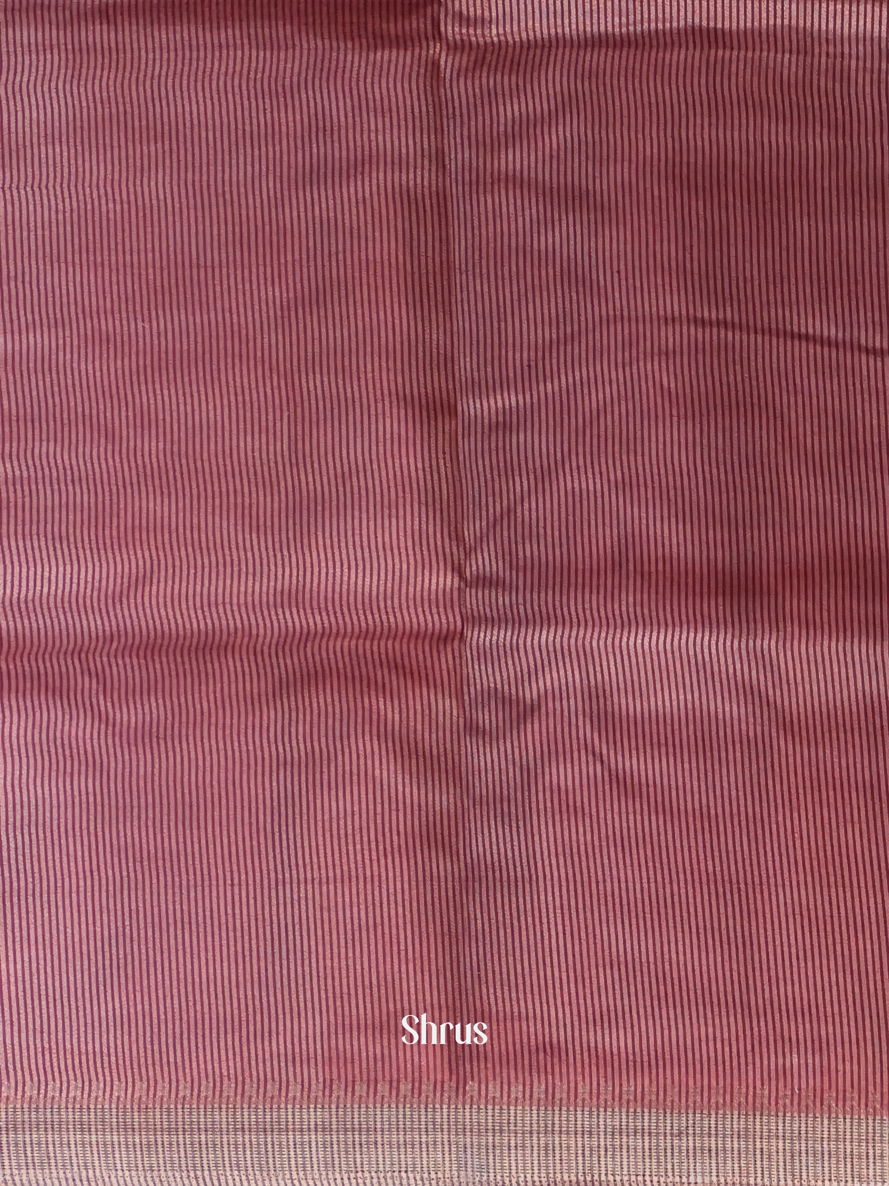 Cream & Black - Semi Tussar Saree - Shop on Shrus.com