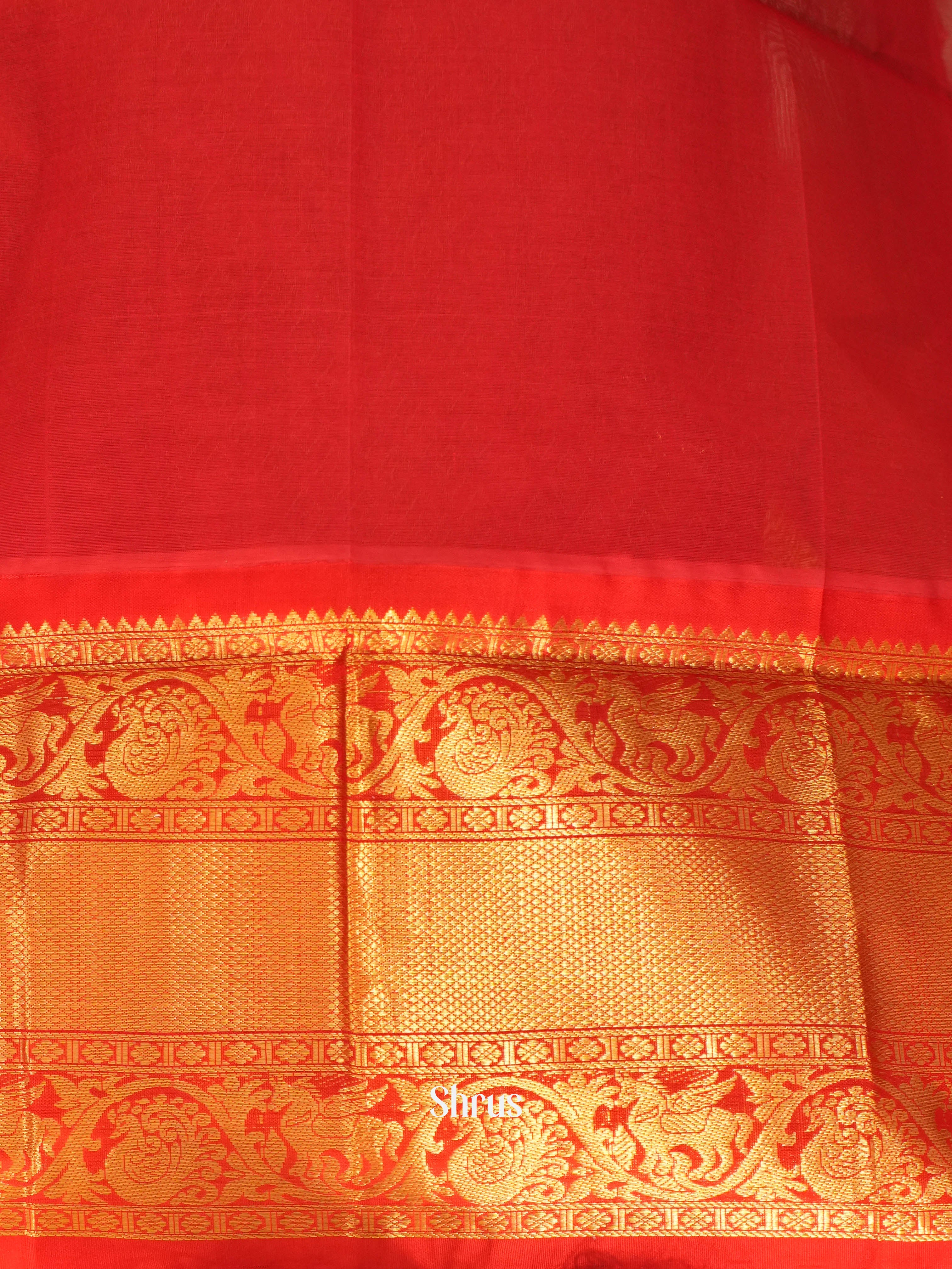 cream & Red - Silk Cotton Saree - Shop on Shrus.com