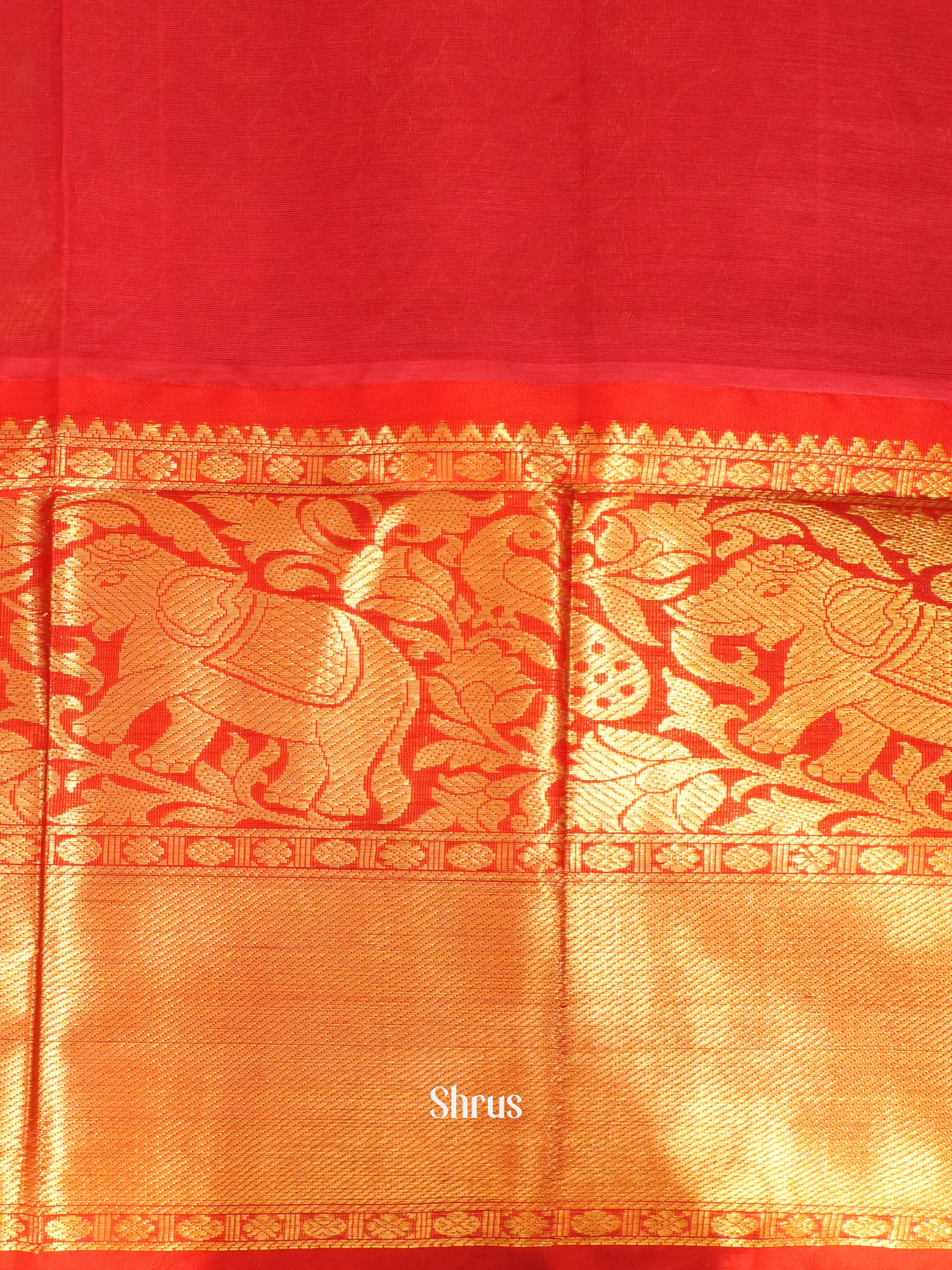 Pink & Red - Silk Cotton Saree - Shop on Shrus.com