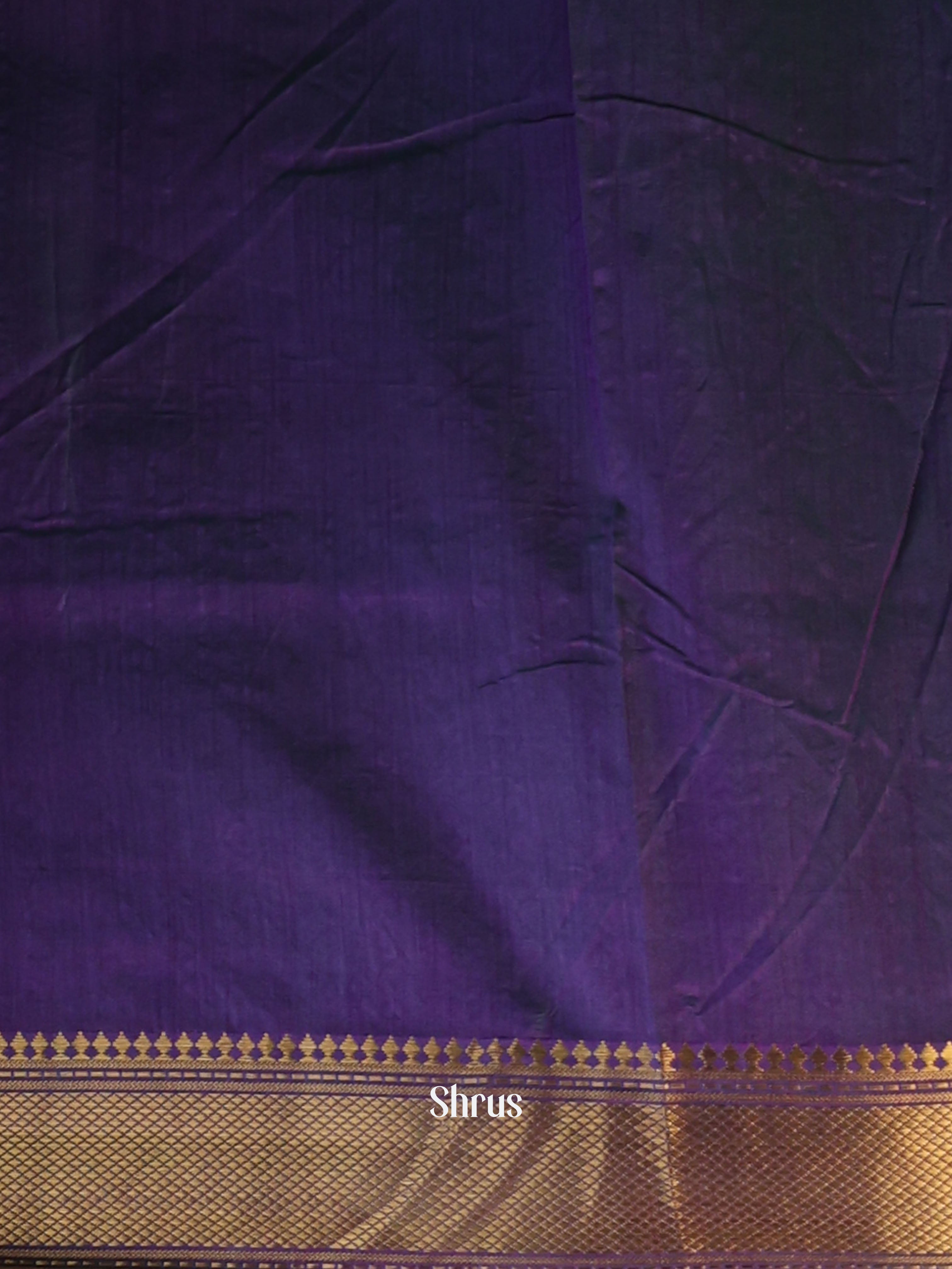 CIS23183 - Semi Patola Saree - Shop on Shrus.com