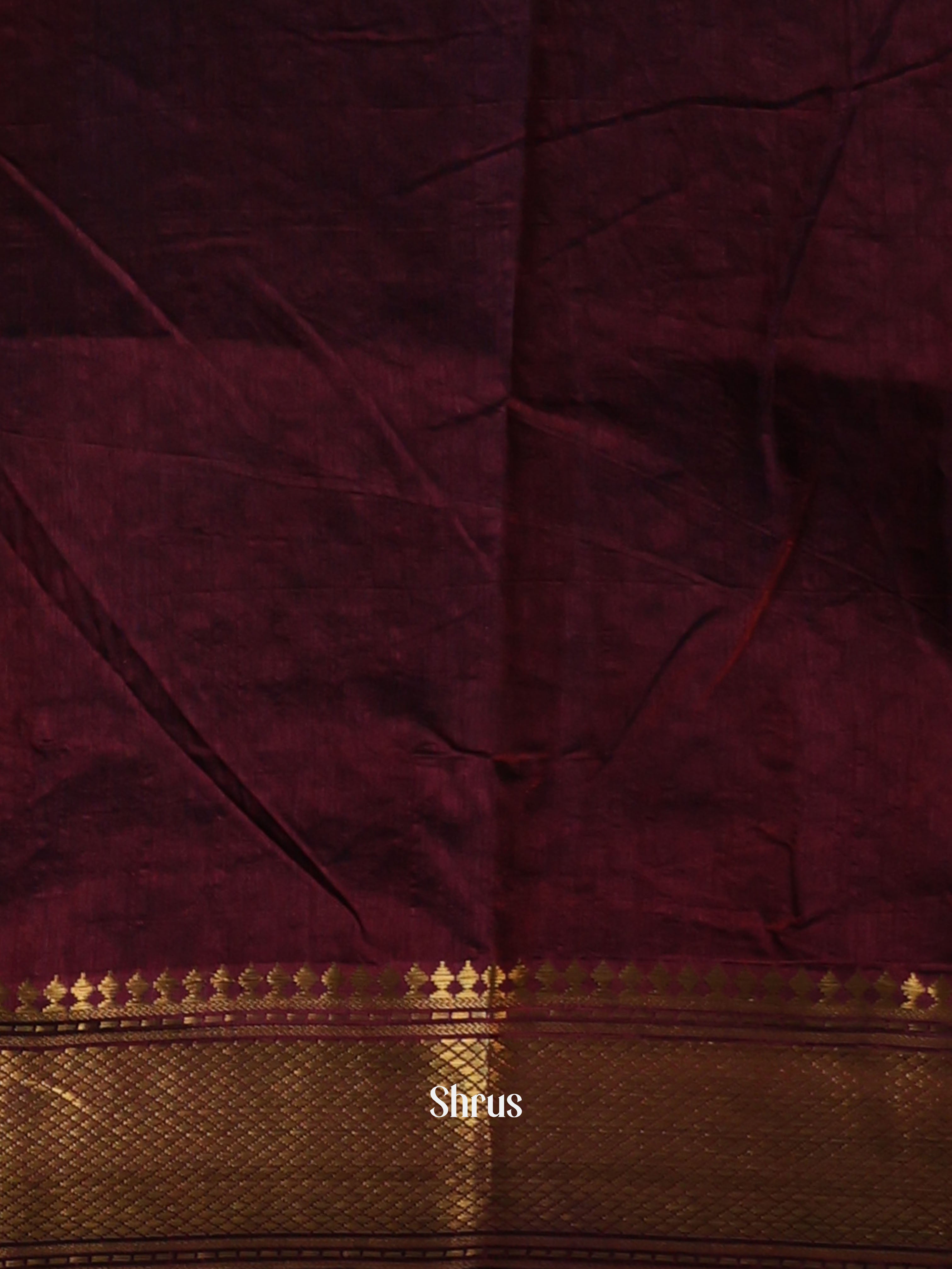 CIS23200 - Semi Patola Saree - Shop on Shrus.com