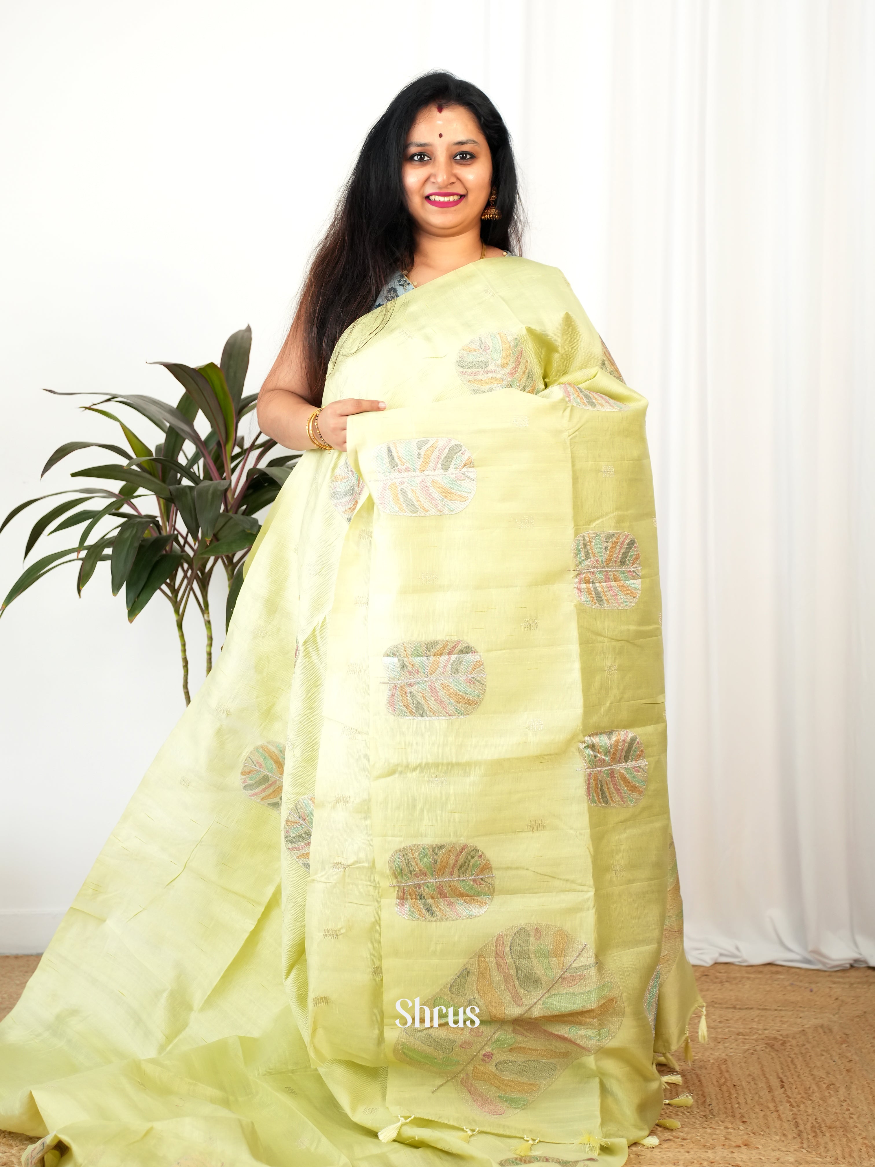 Pastel Green - Semi Rawsilk Saree - Shop on Shrus.com