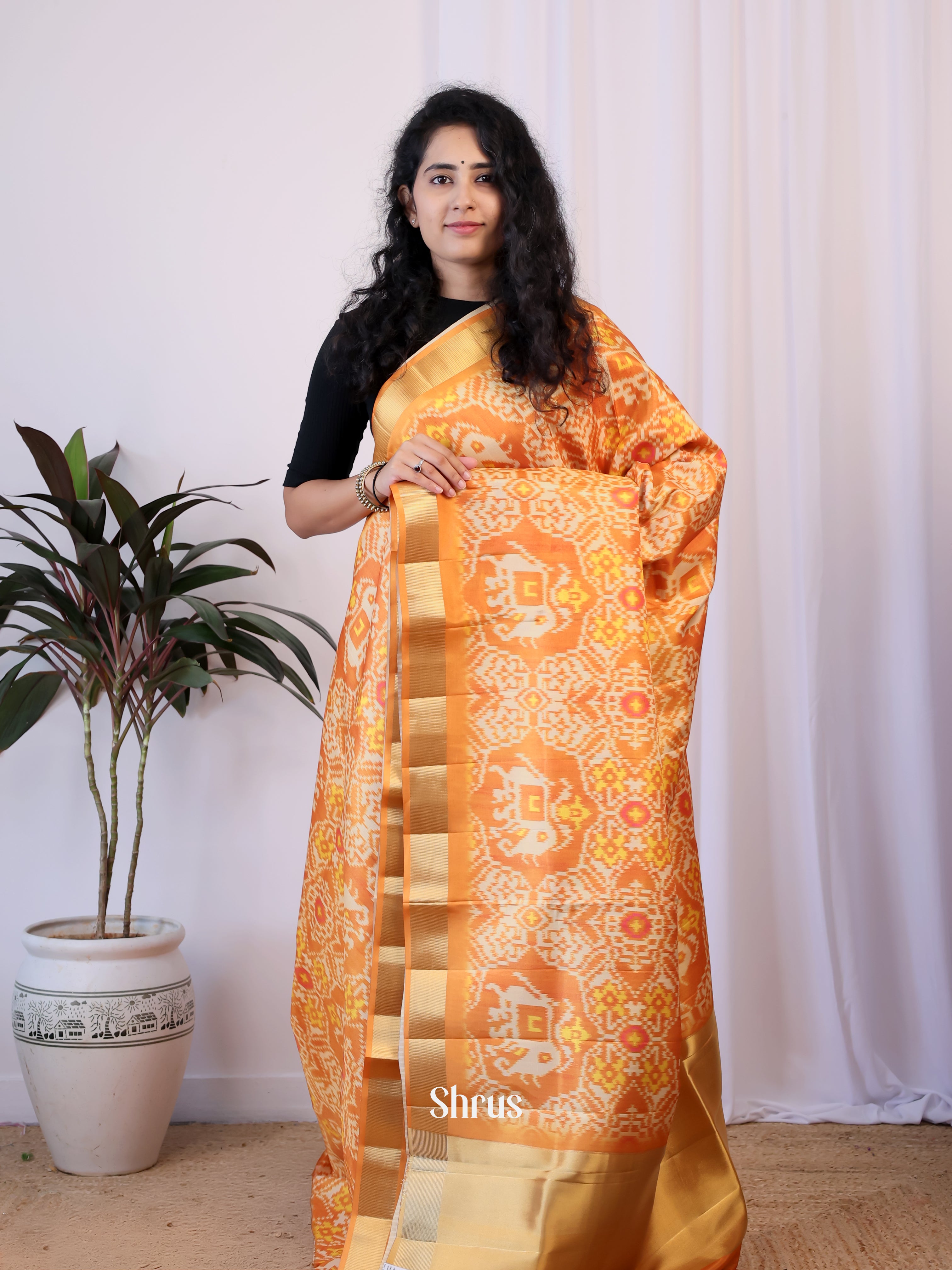 Grey - Semi Patola Saree - Shop on Shrus.com