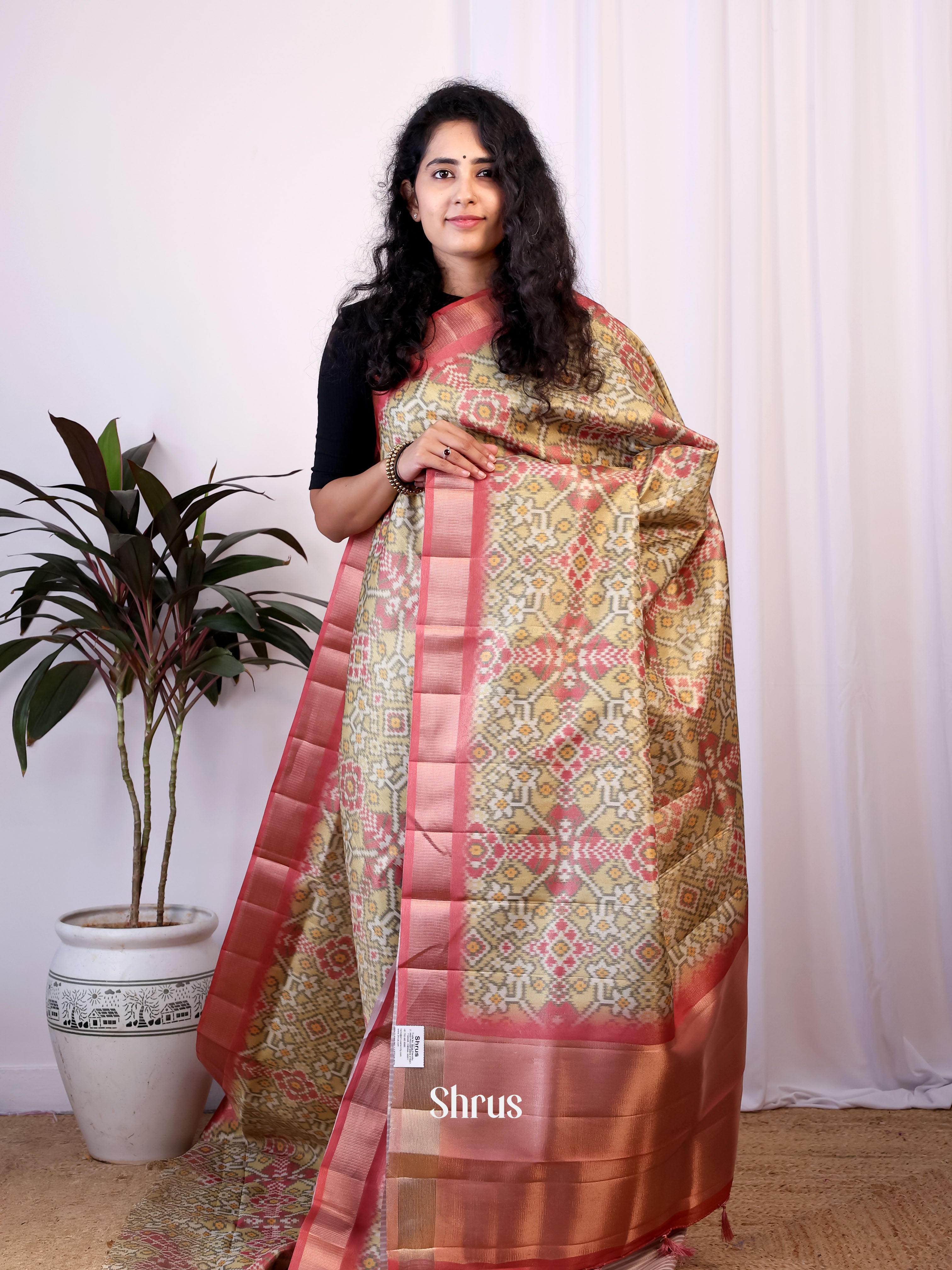 CIS23317 - Semi Patola Saree - Shop on Shrus.com