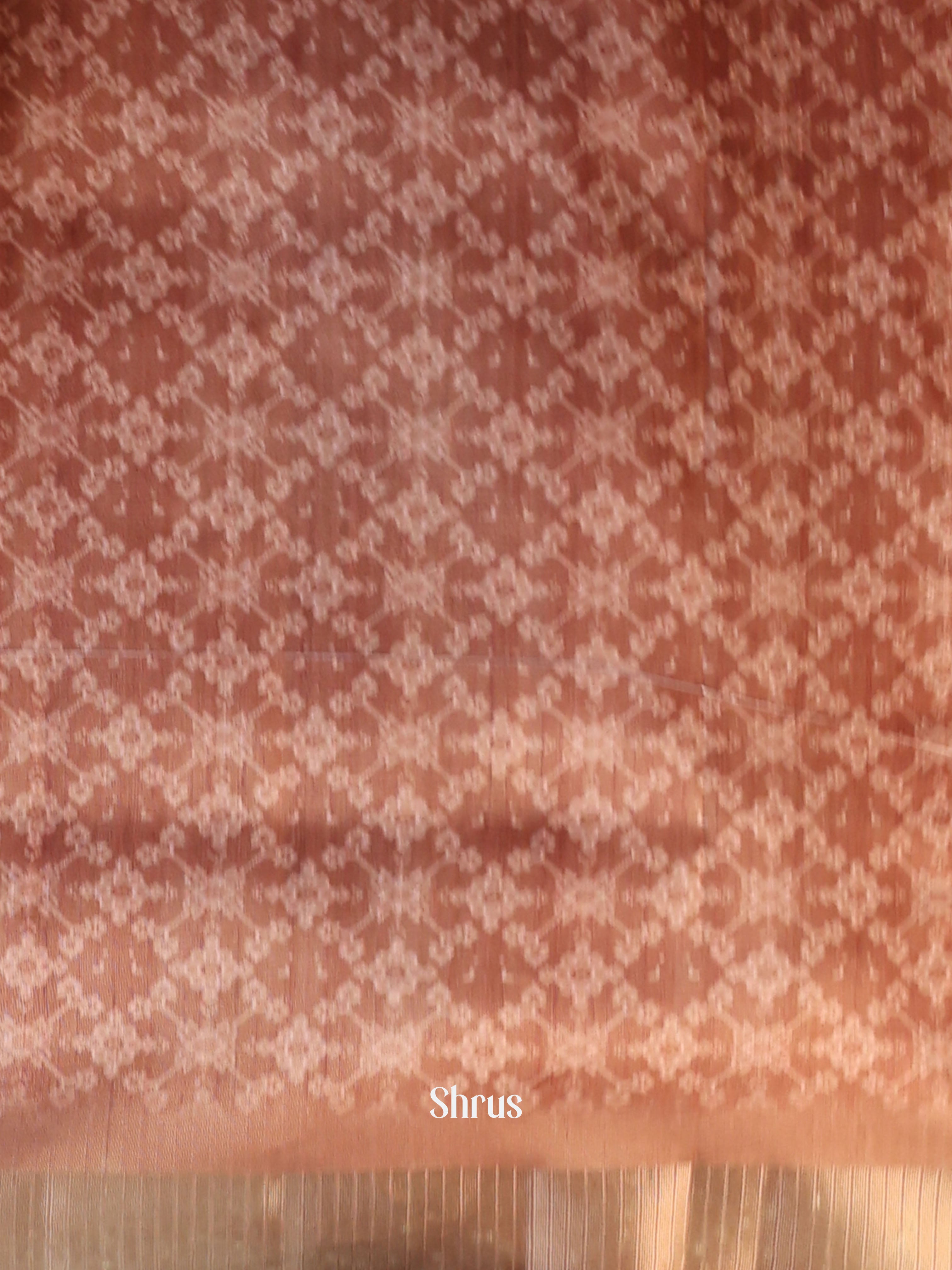 Brown - Semi Patola Saree - Shop on Shrus.com