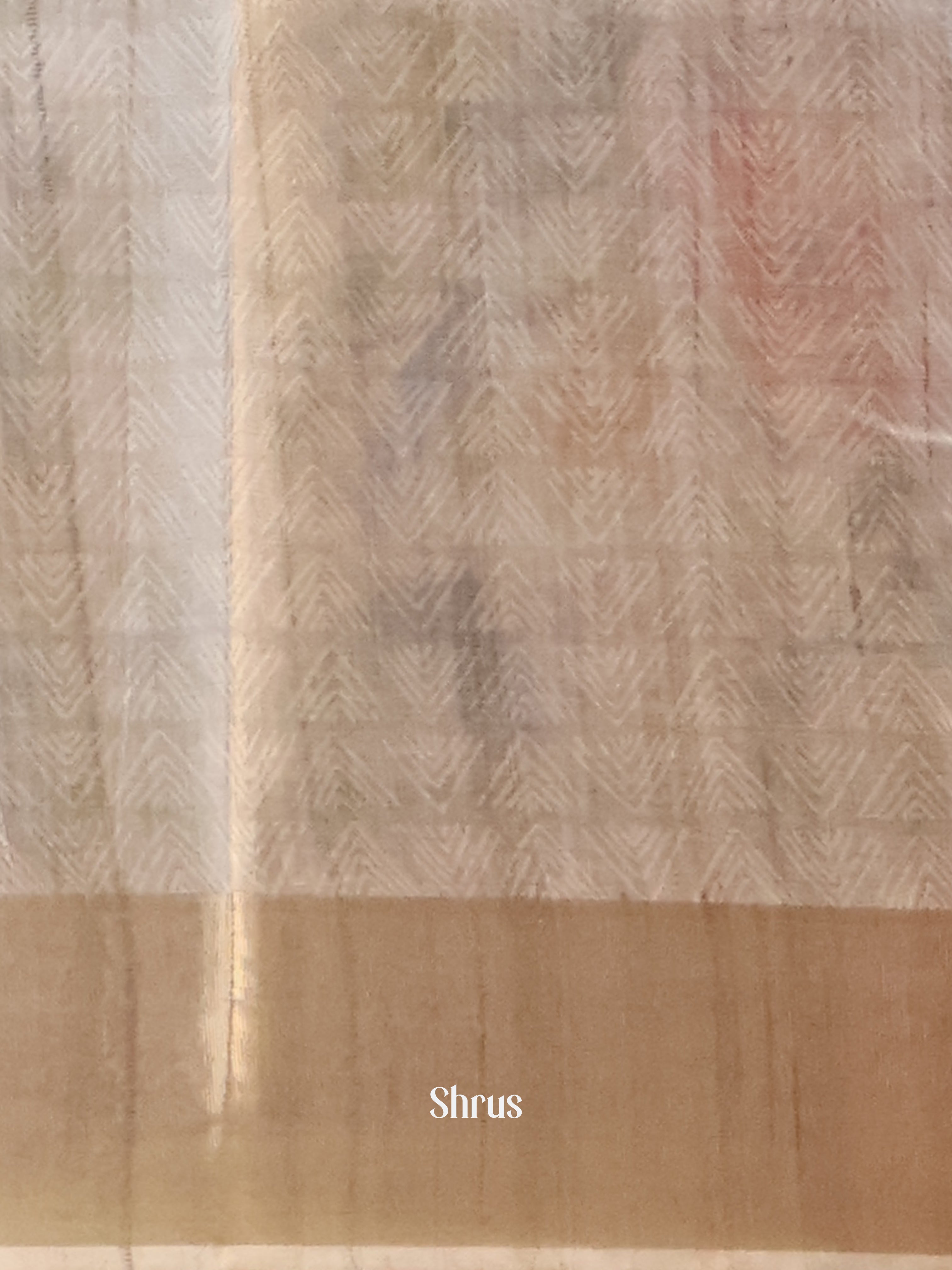 Cream - Champa semitussar Saree - Shop on Shrus.com