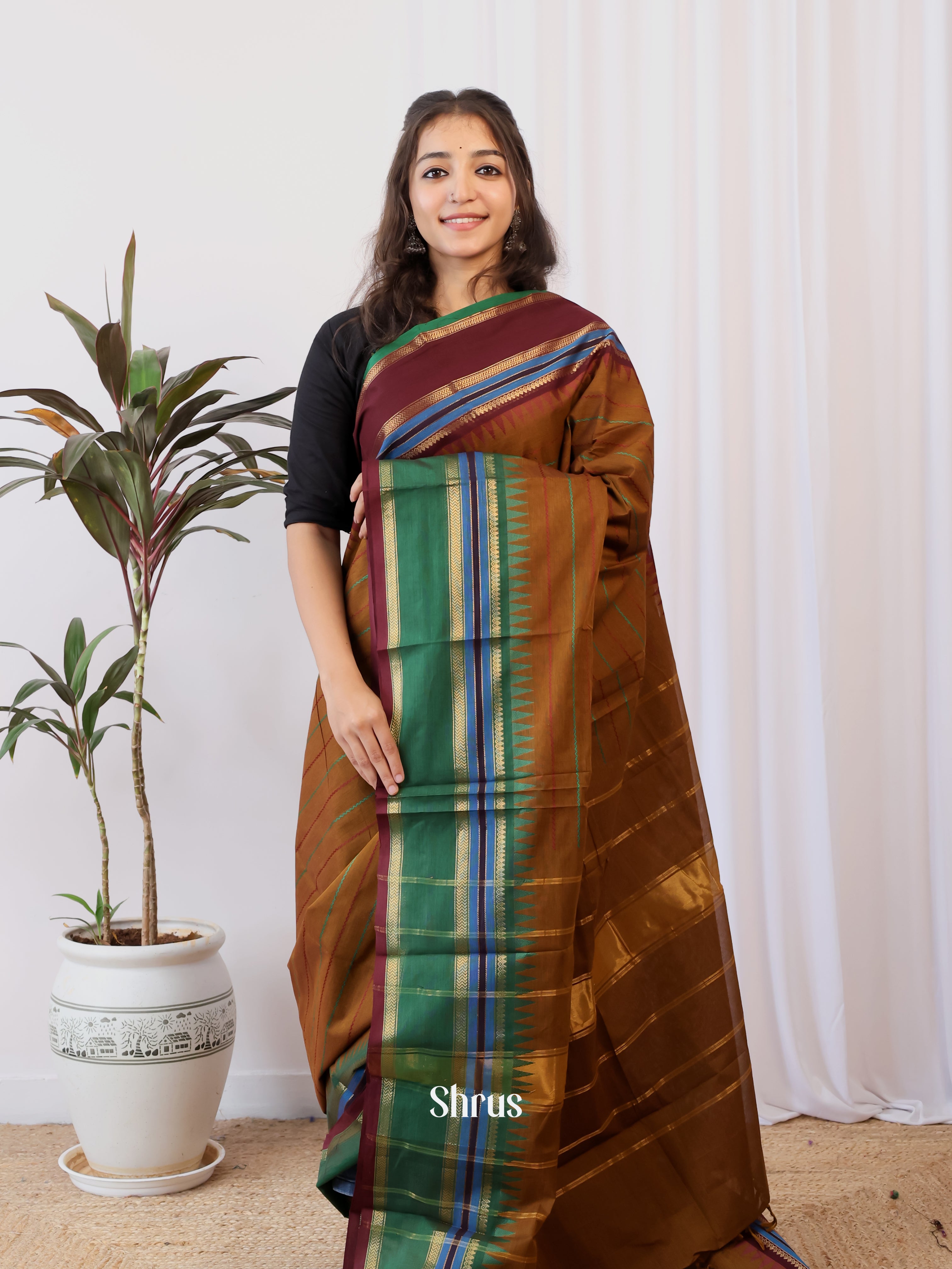 Brown & Green - Chettinad Cotton Saree - Shop on Shrus.com