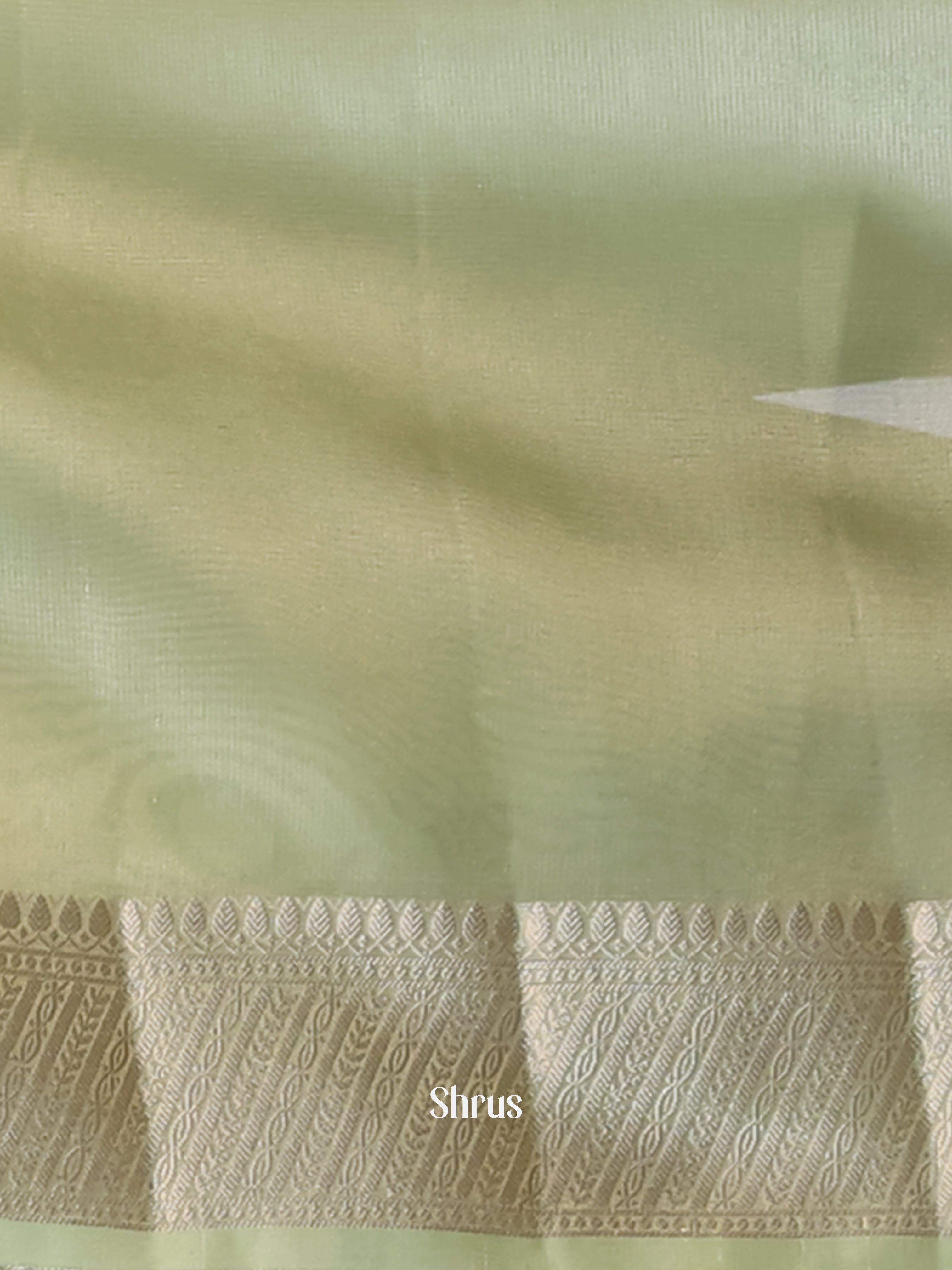 Green - Semi Tissue Saree - Shop on Shrus.com