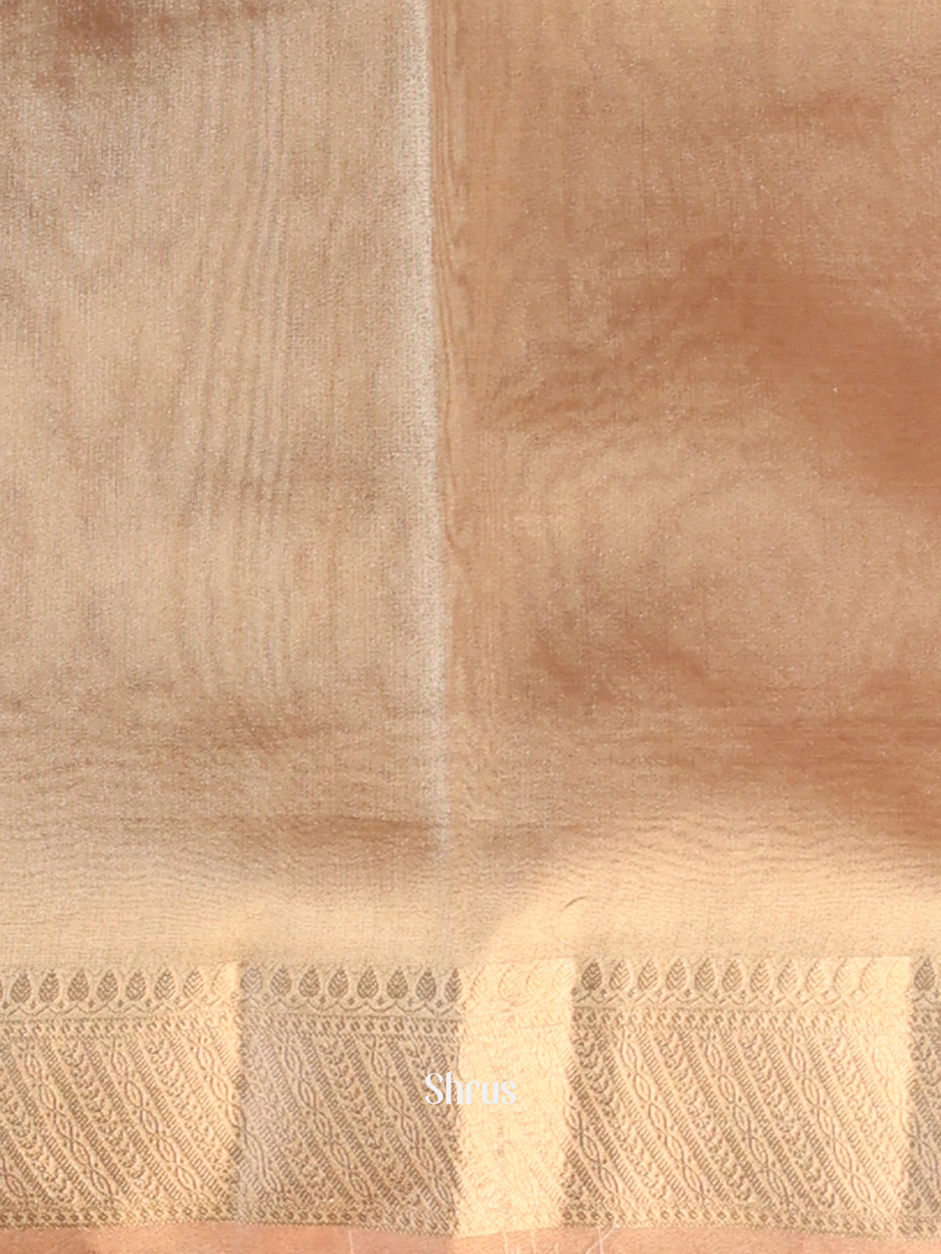 Peach- Semi Tissue Saree - Shop on Shrus.com