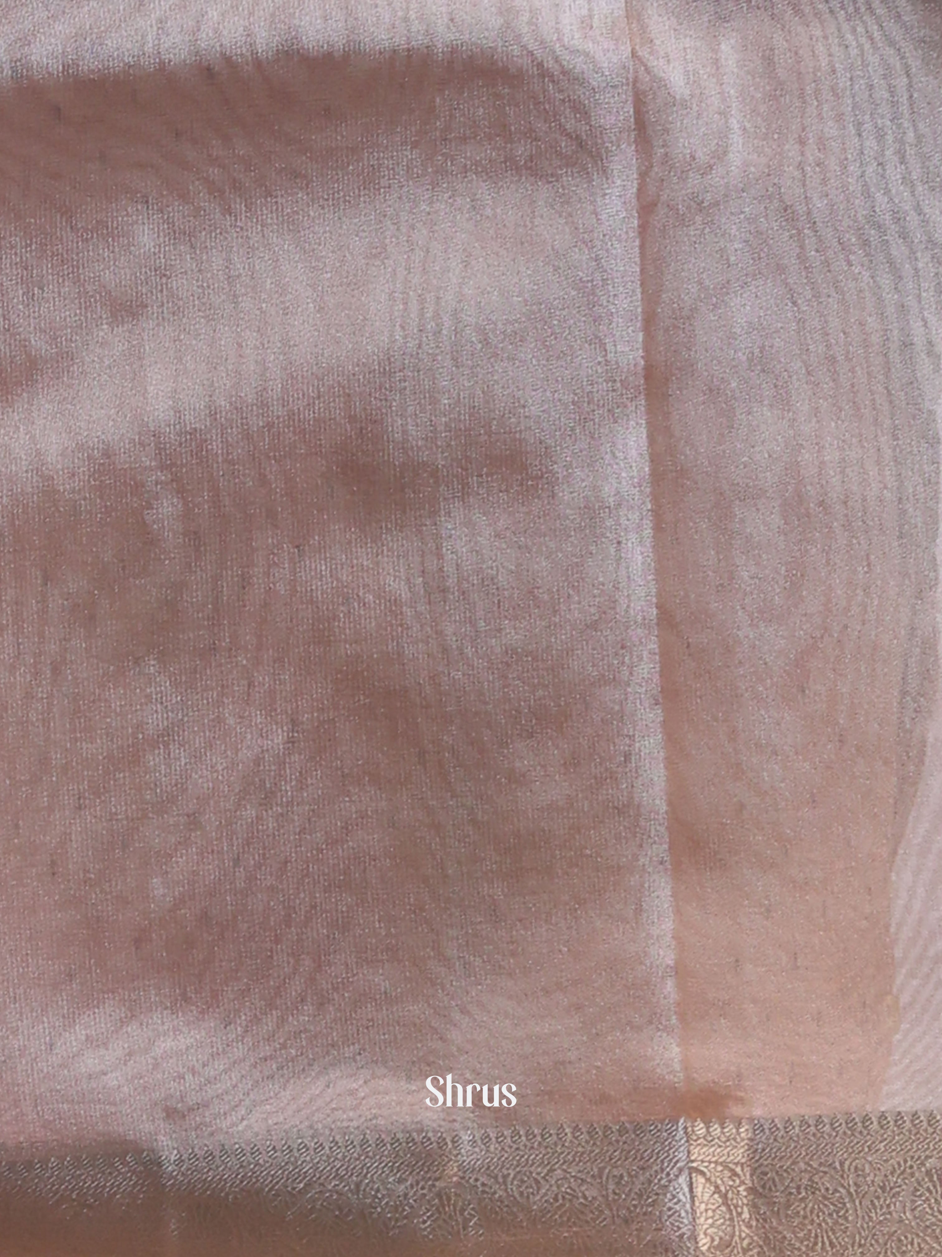 Dusty Pink - Semi Tissue Saree - Shop on Shrus.com