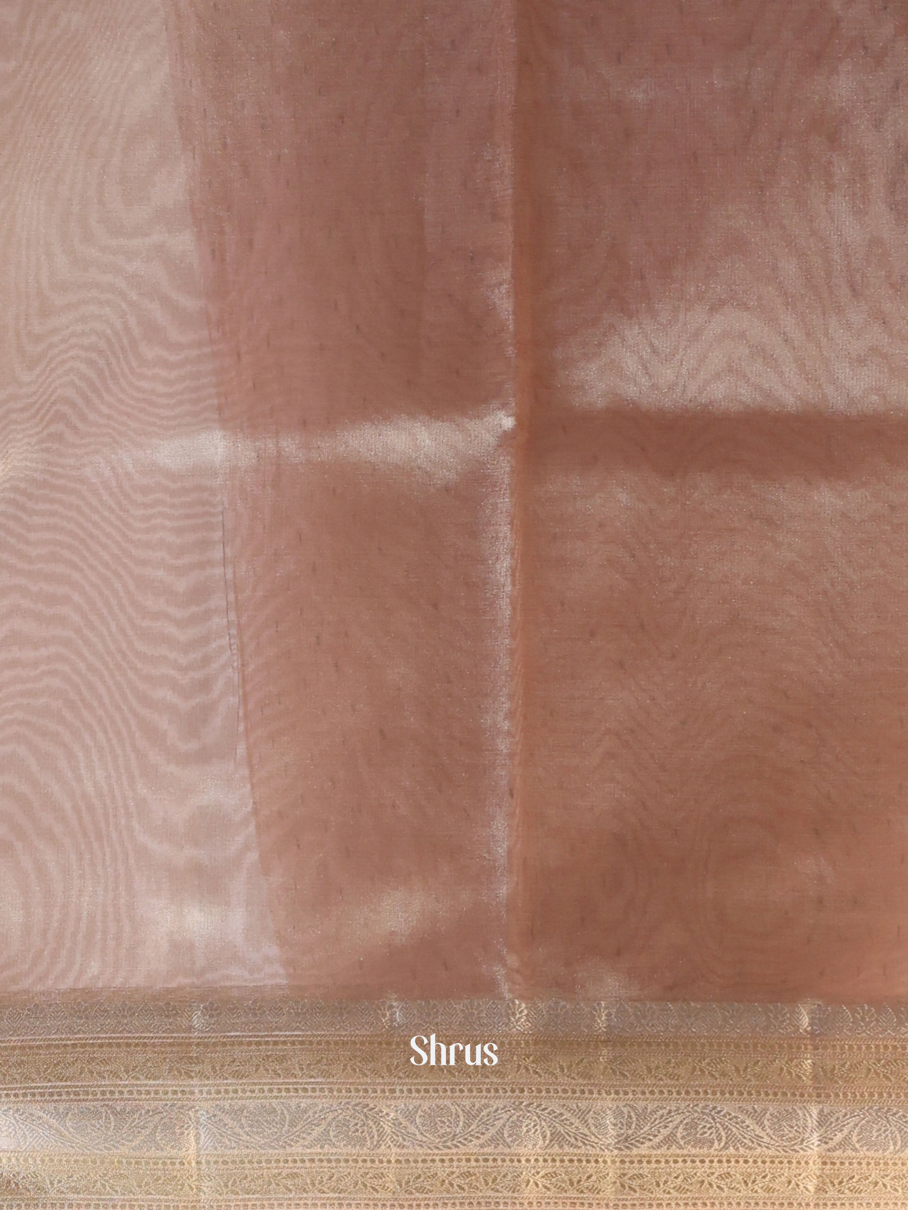 Peach - Semi Tissue Saree - Shop on Shrus.com