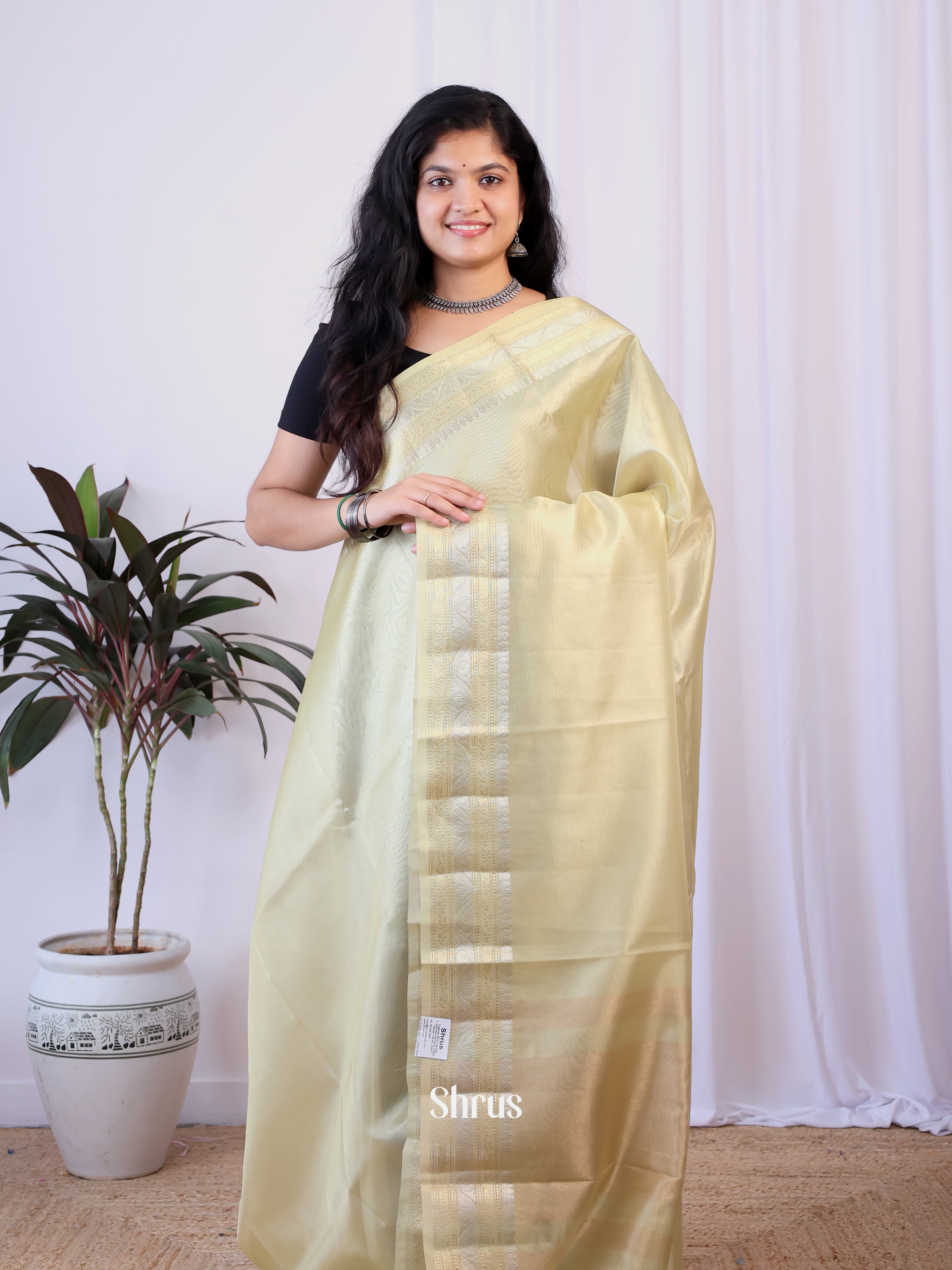 Cream- Semi Tissue Saree - Shop on Shrus.com