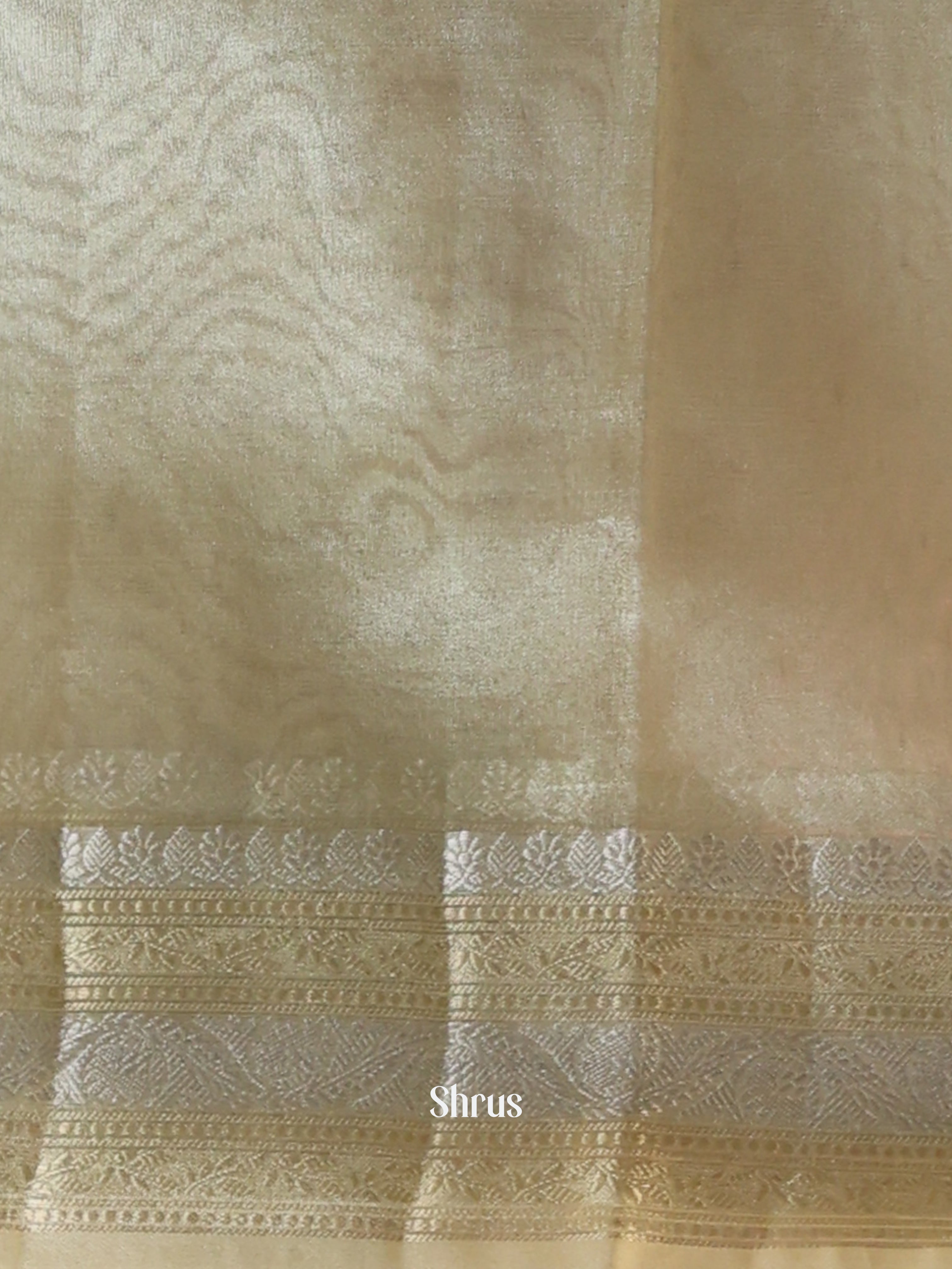 Cream- Semi Tissue Saree - Shop on Shrus.com