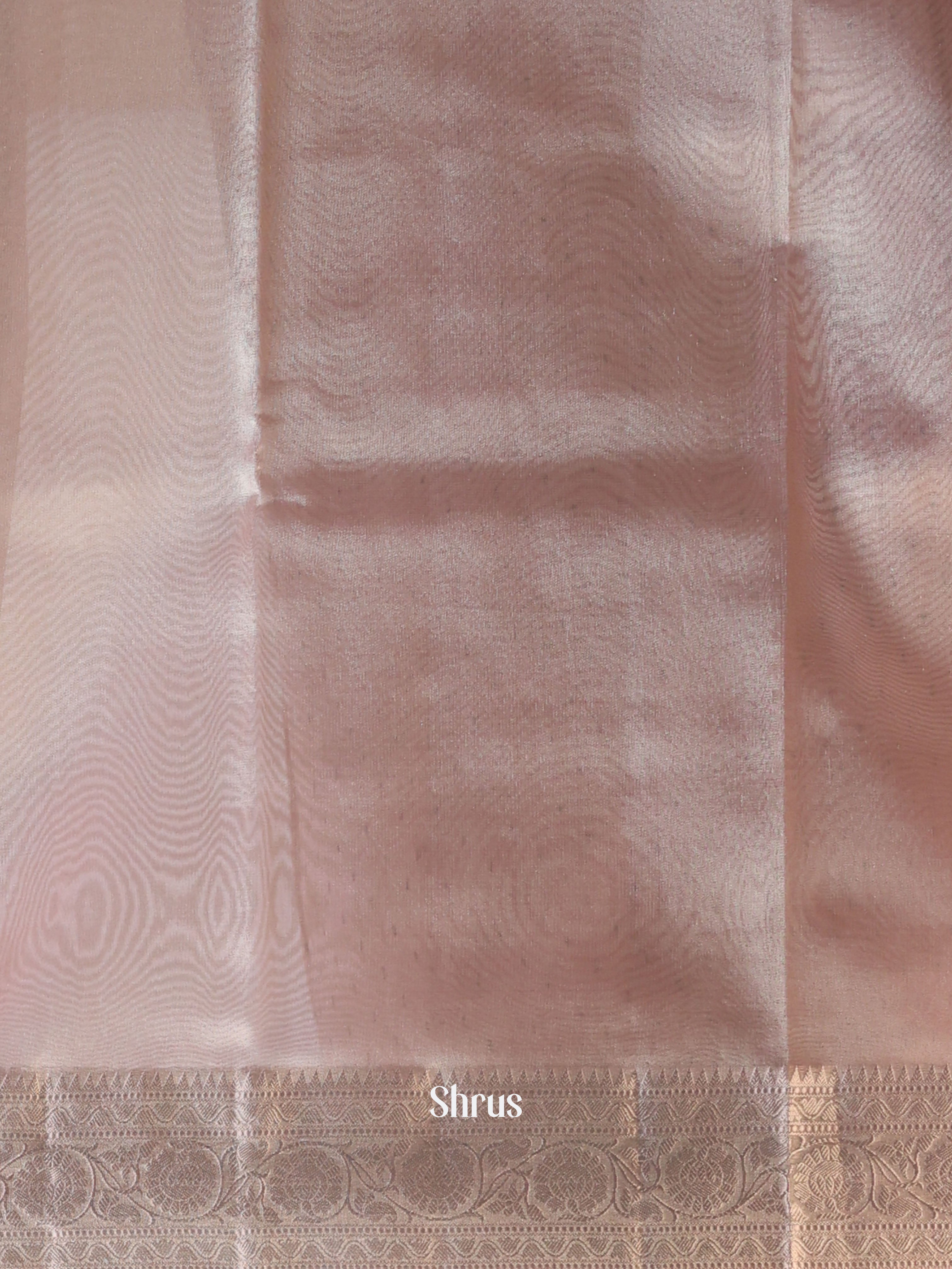 Pastel Pink - Semi Tissue Saree - Shop on Shrus.com