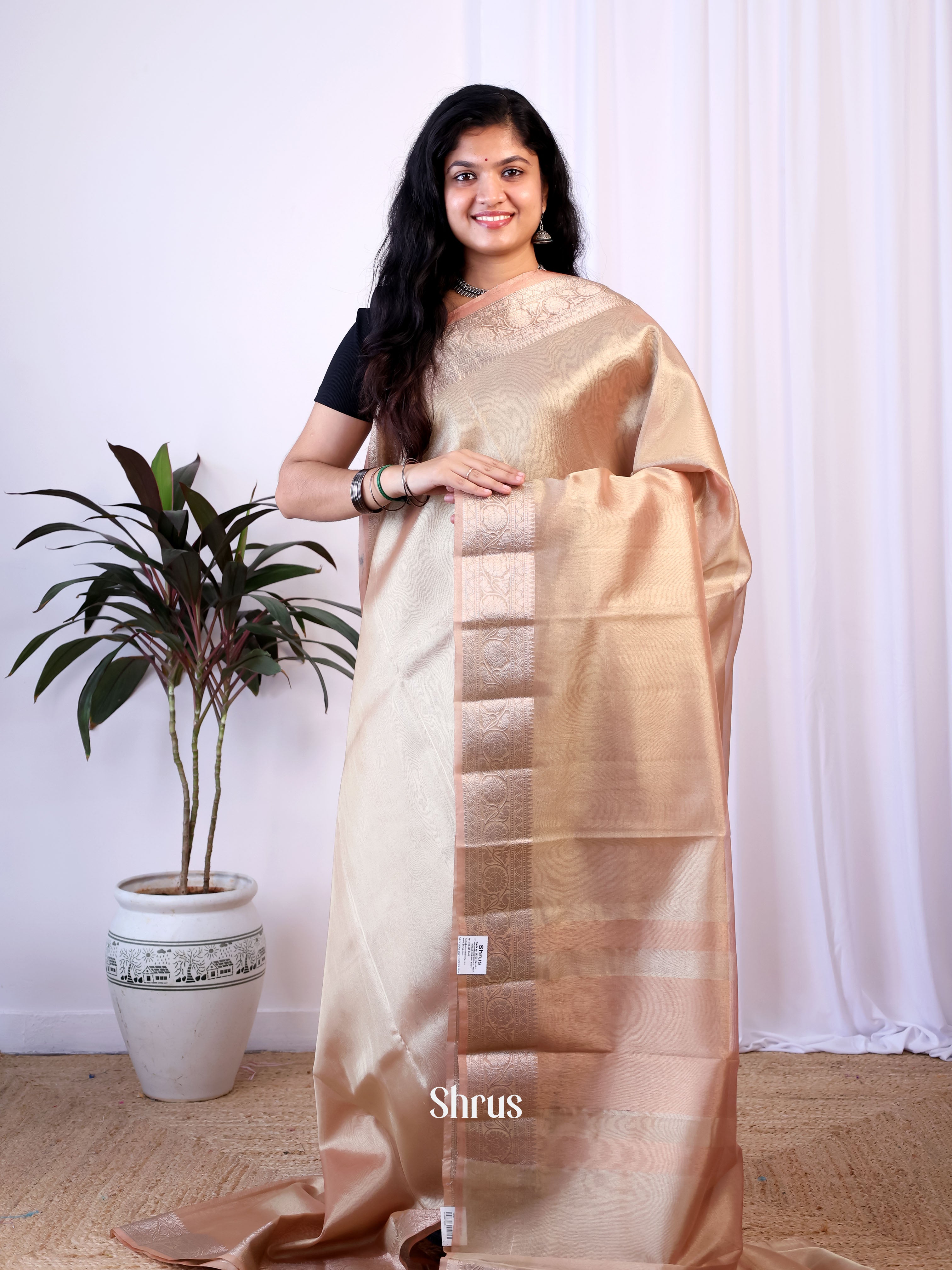 pastel Grey - Semi Tissue Saree - Shop on Shrus.com
