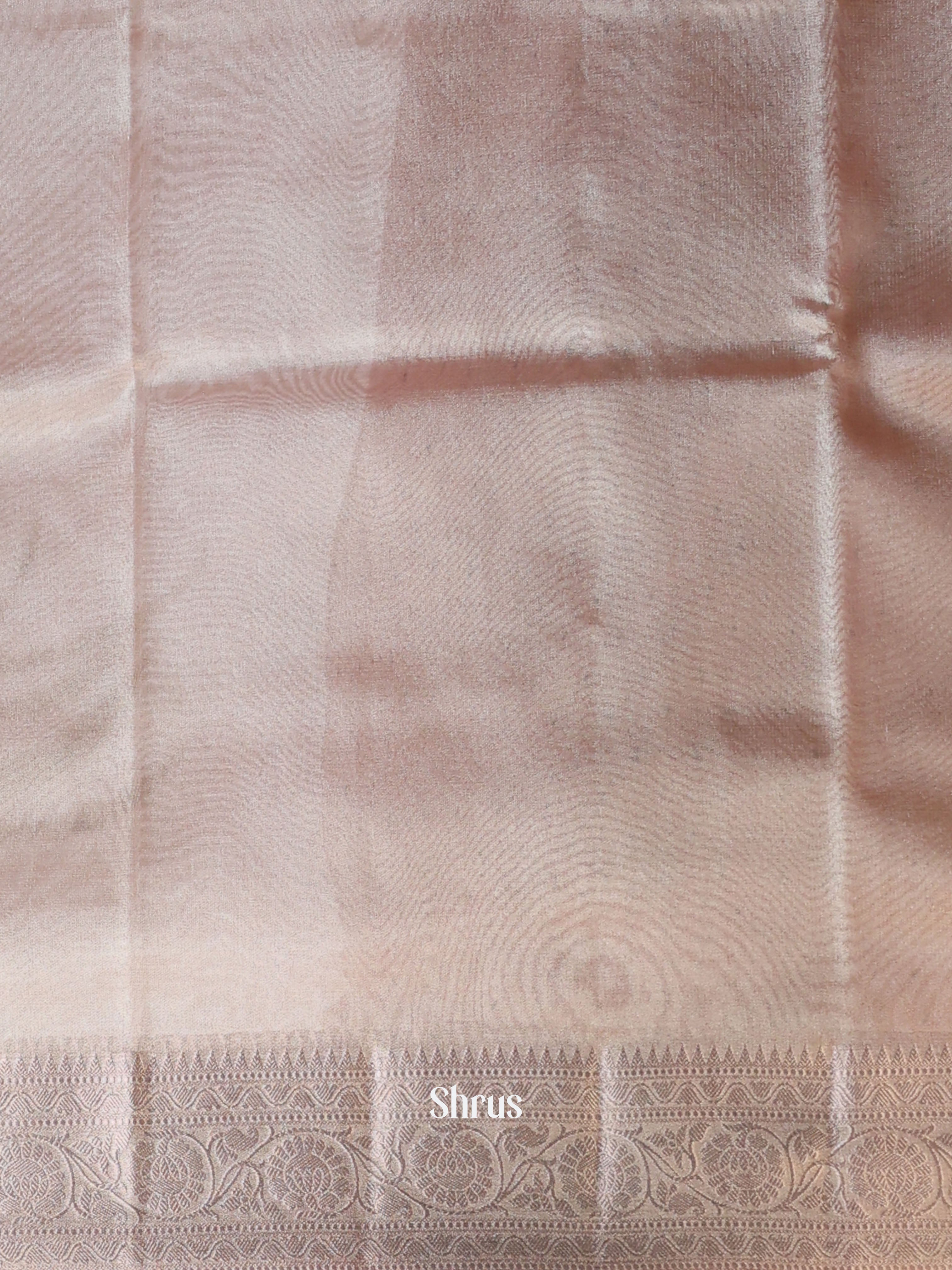 pastel Grey - Semi Tissue Saree - Shop on Shrus.com