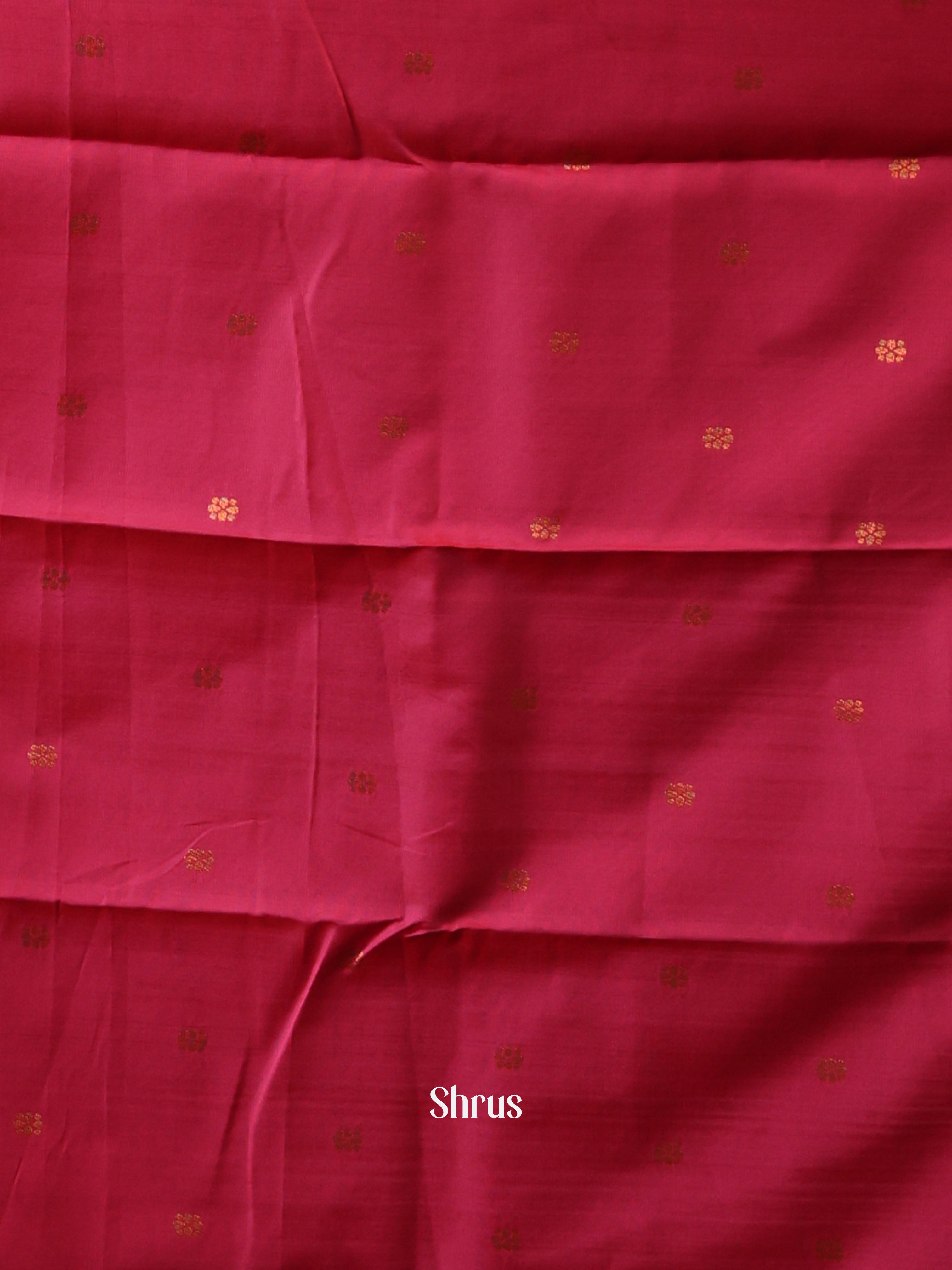 CIS24120 - Semi Softsilk Saree - Shop on Shrus.com