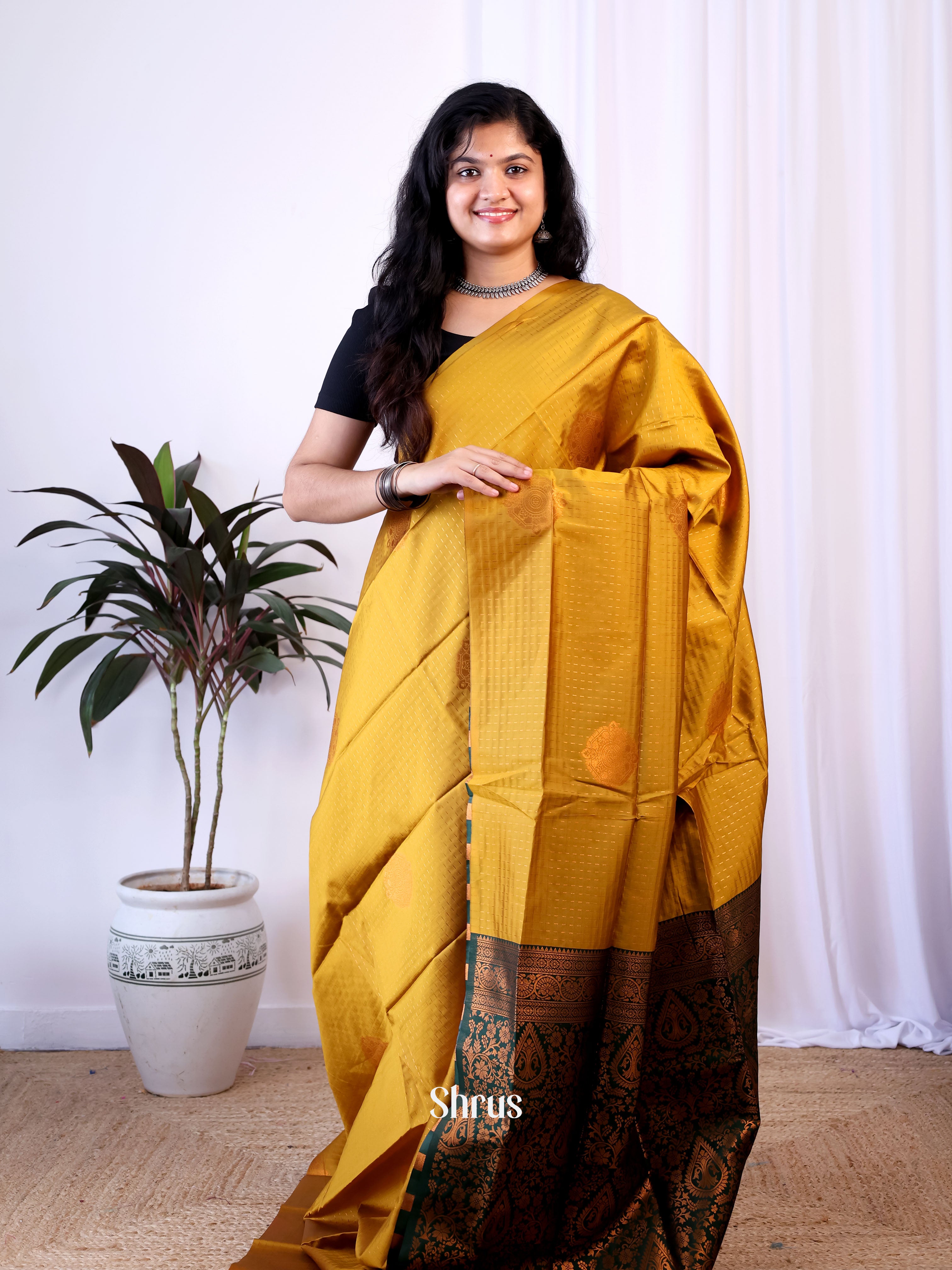 CIS24134 - Semi Softsilk Saree - Shop on Shrus.com