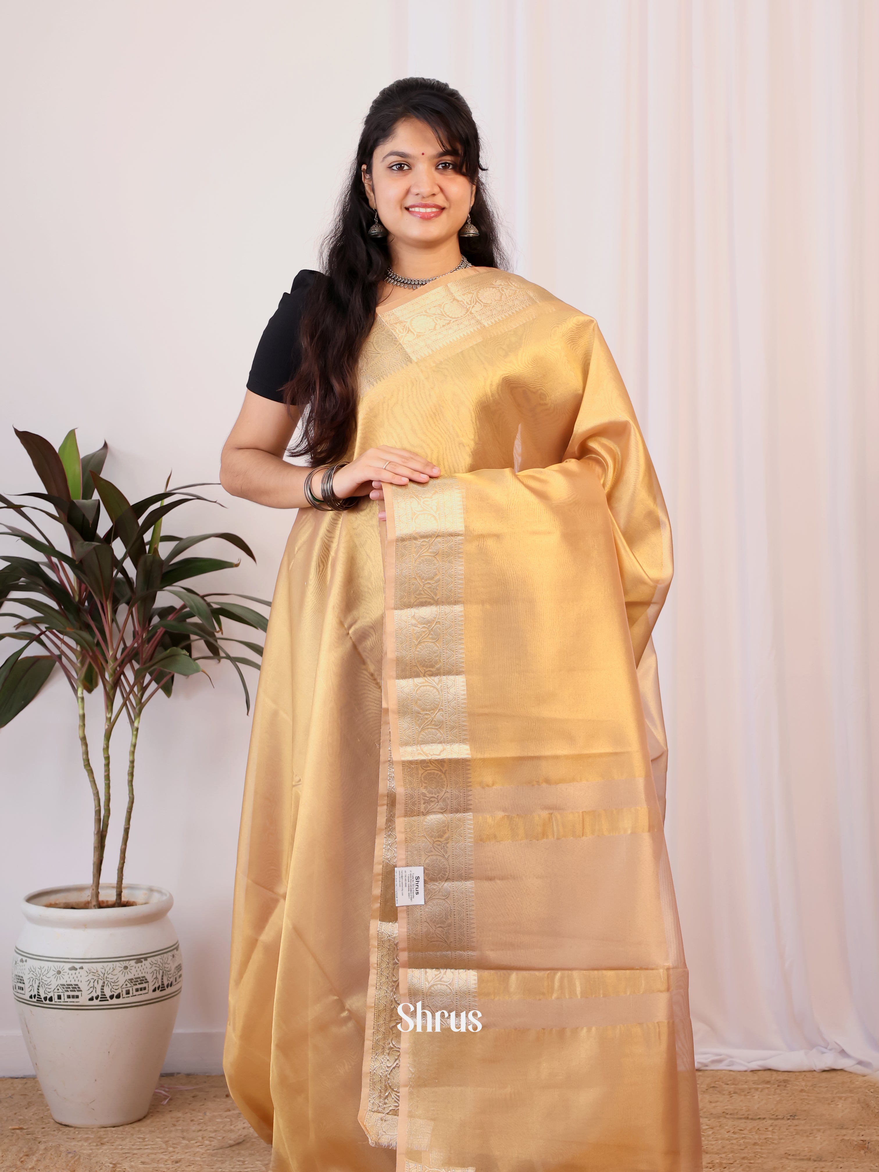 Gold- Semi Tissue Saree - Shop on Shrus.com