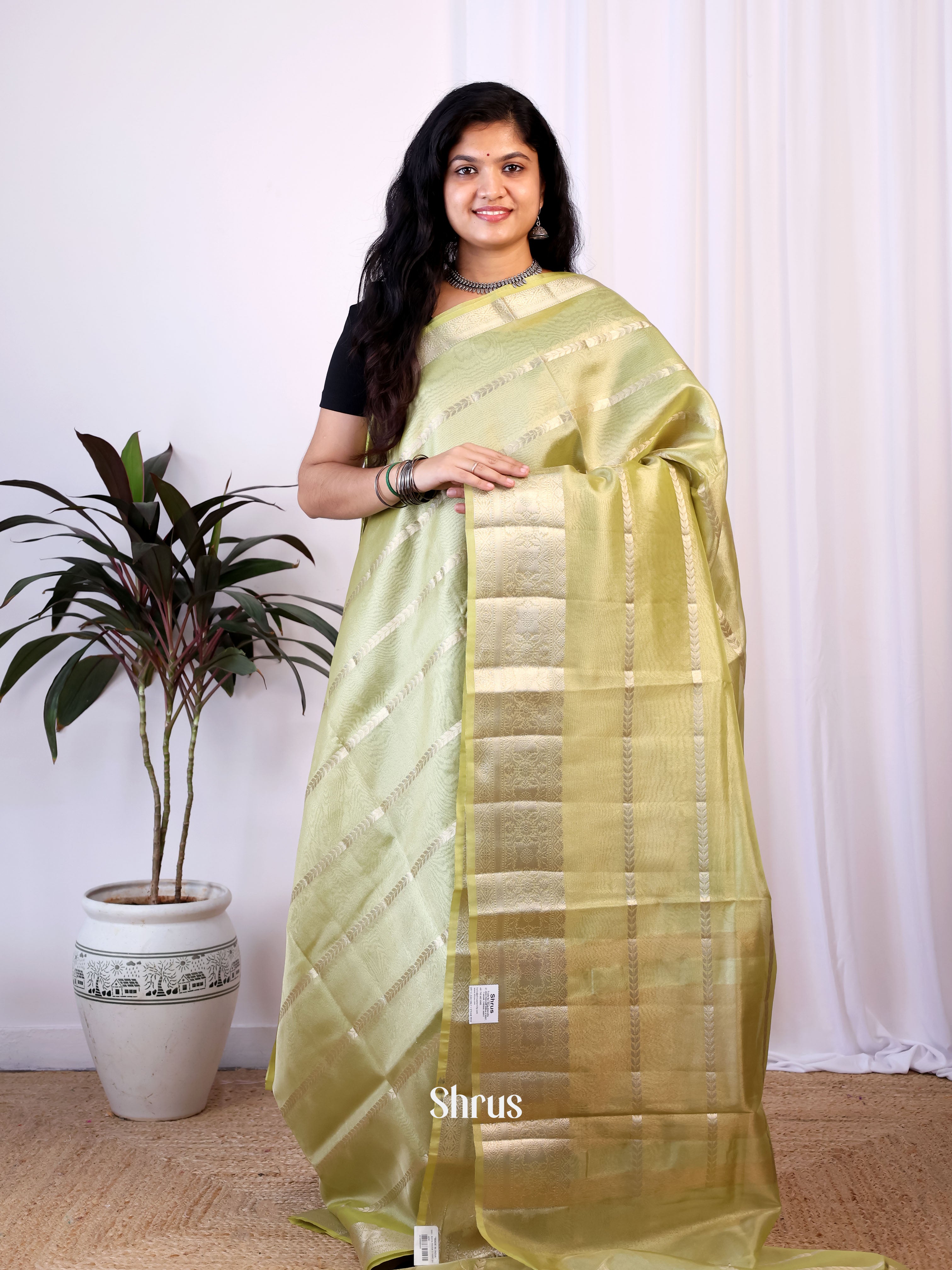 Pastel Green - Semi Tissue Saree - Shop on Shrus.com