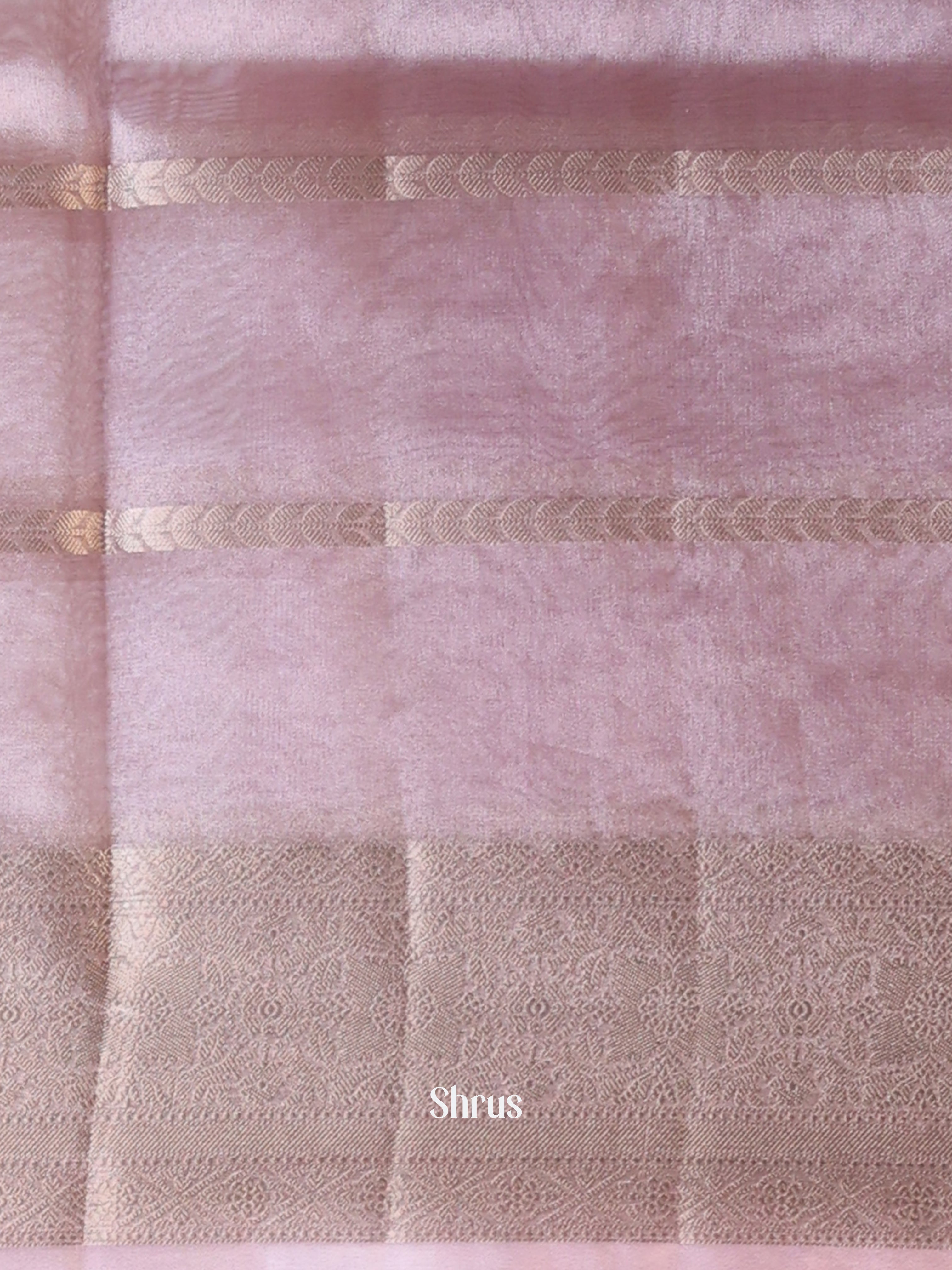 CIS24145 - Semi Tissue Saree - Shop on Shrus.com