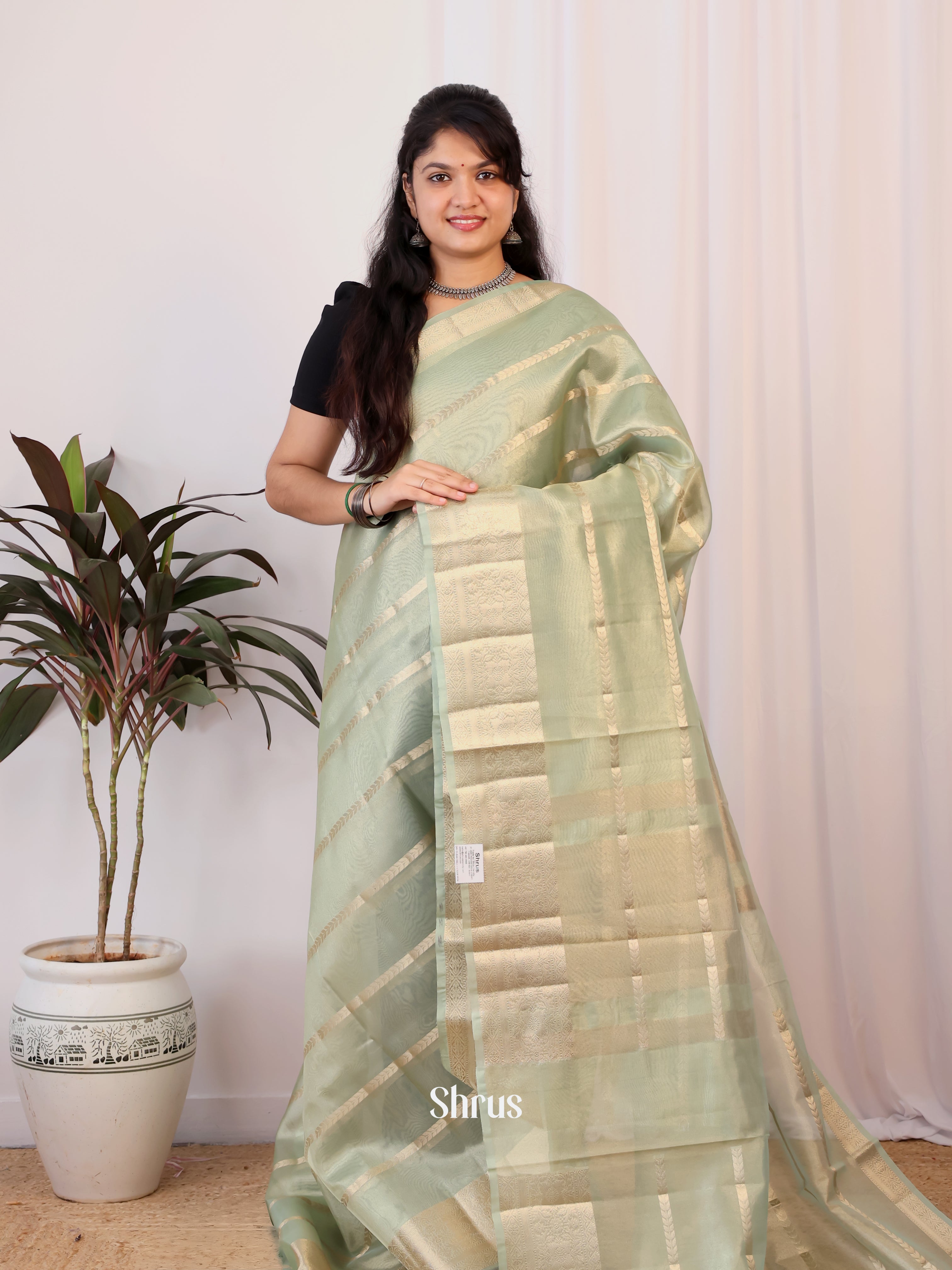 Lite Green - Semi Tissue Saree - Shop on Shrus.com